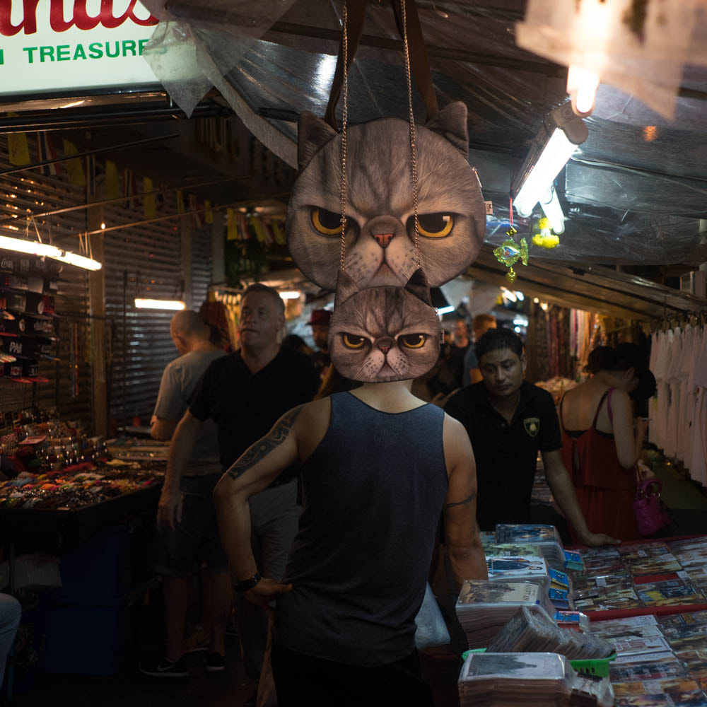 E 0mm F0 sample photo. Angry ! angryyyy cat!!!! photography