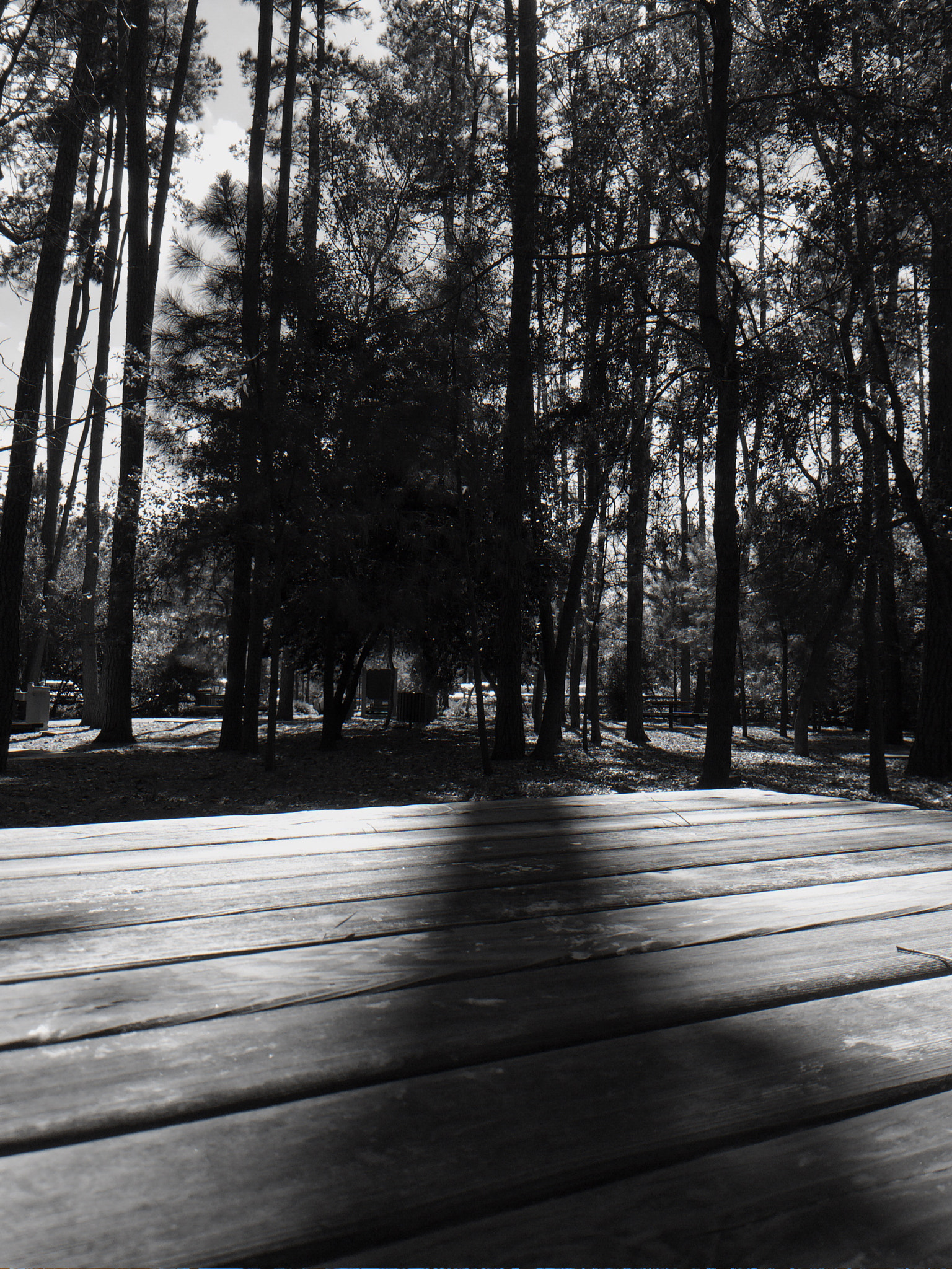 Curious Satellite Hueless on iPhone sample photo. A shadow being cast almost in a straight line towards me. photography