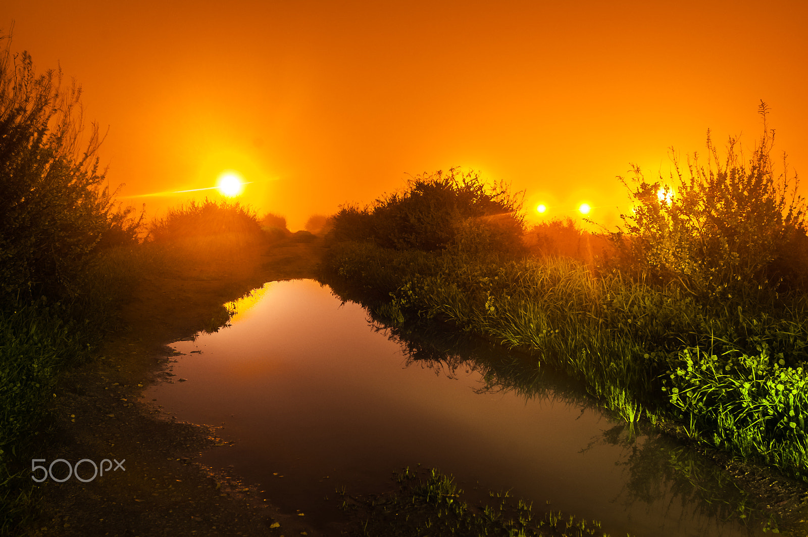 Nikon AF-S Nikkor 17-35mm F2.8D ED-IF sample photo. Mist #4 photography