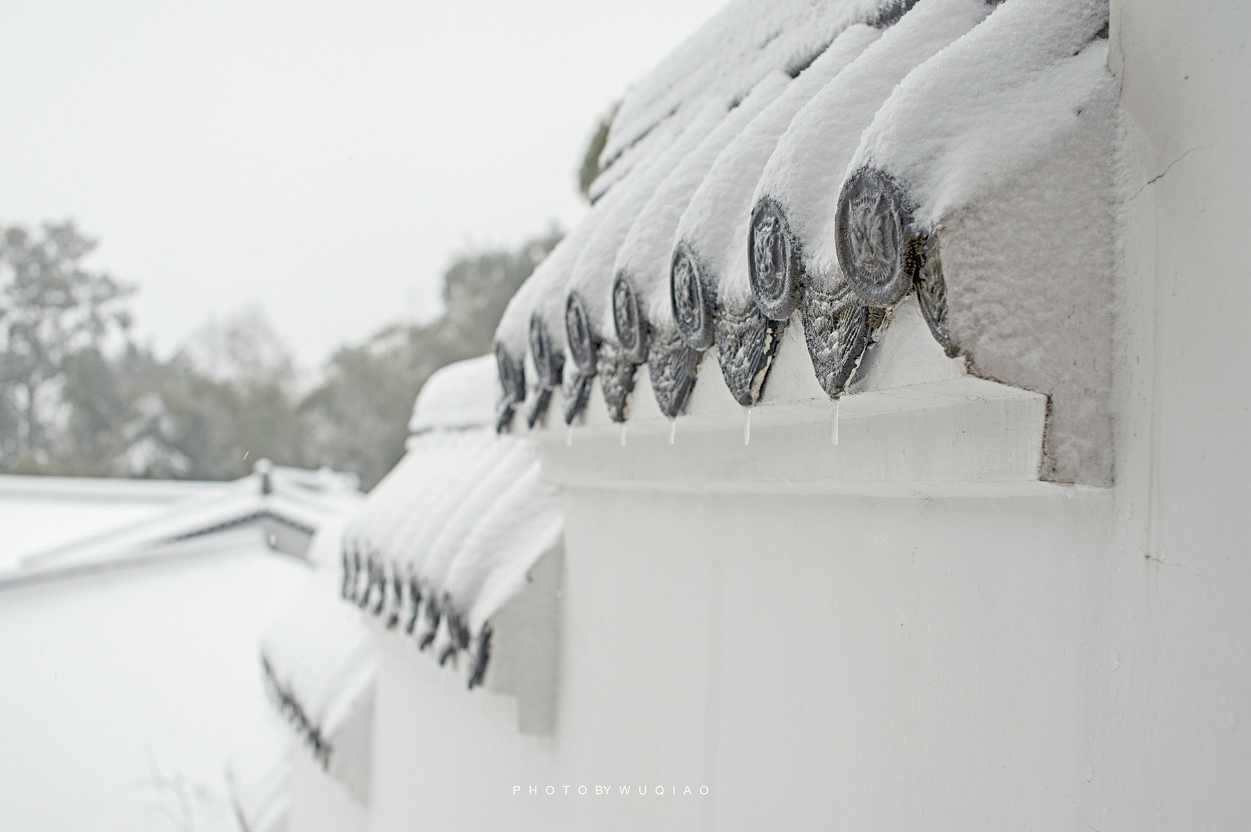 Nikon D4 + Sigma 50mm F1.4 EX DG HSM sample photo. Snow scene photography