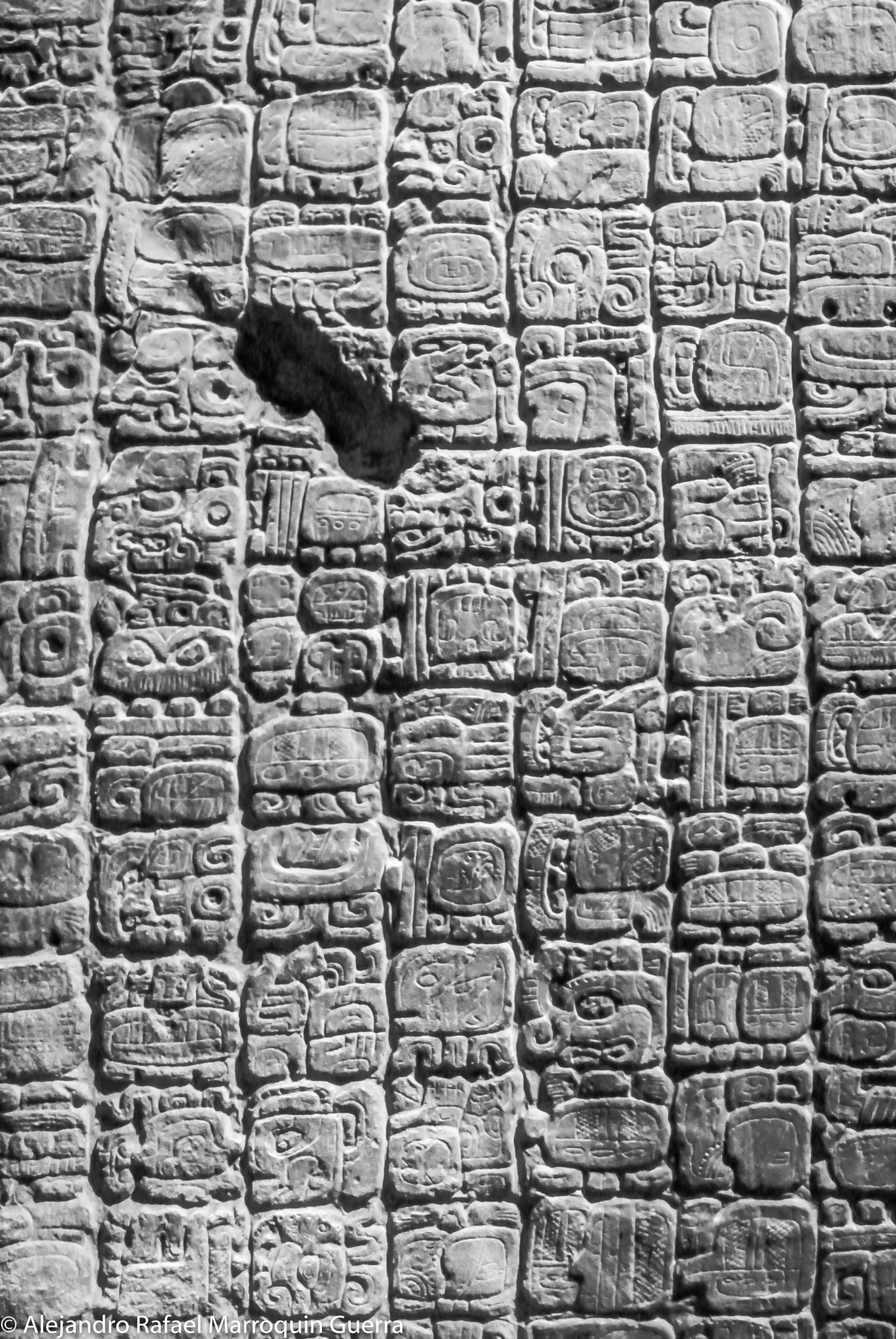 Nikon 1 J2 sample photo. Codex.jpg photography