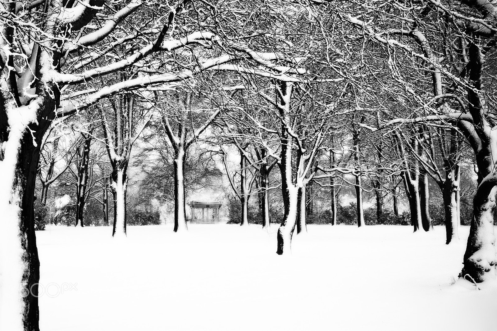 Sigma 10-20mm F4-5.6 EX DC HSM sample photo. Band rotunda in snow photography