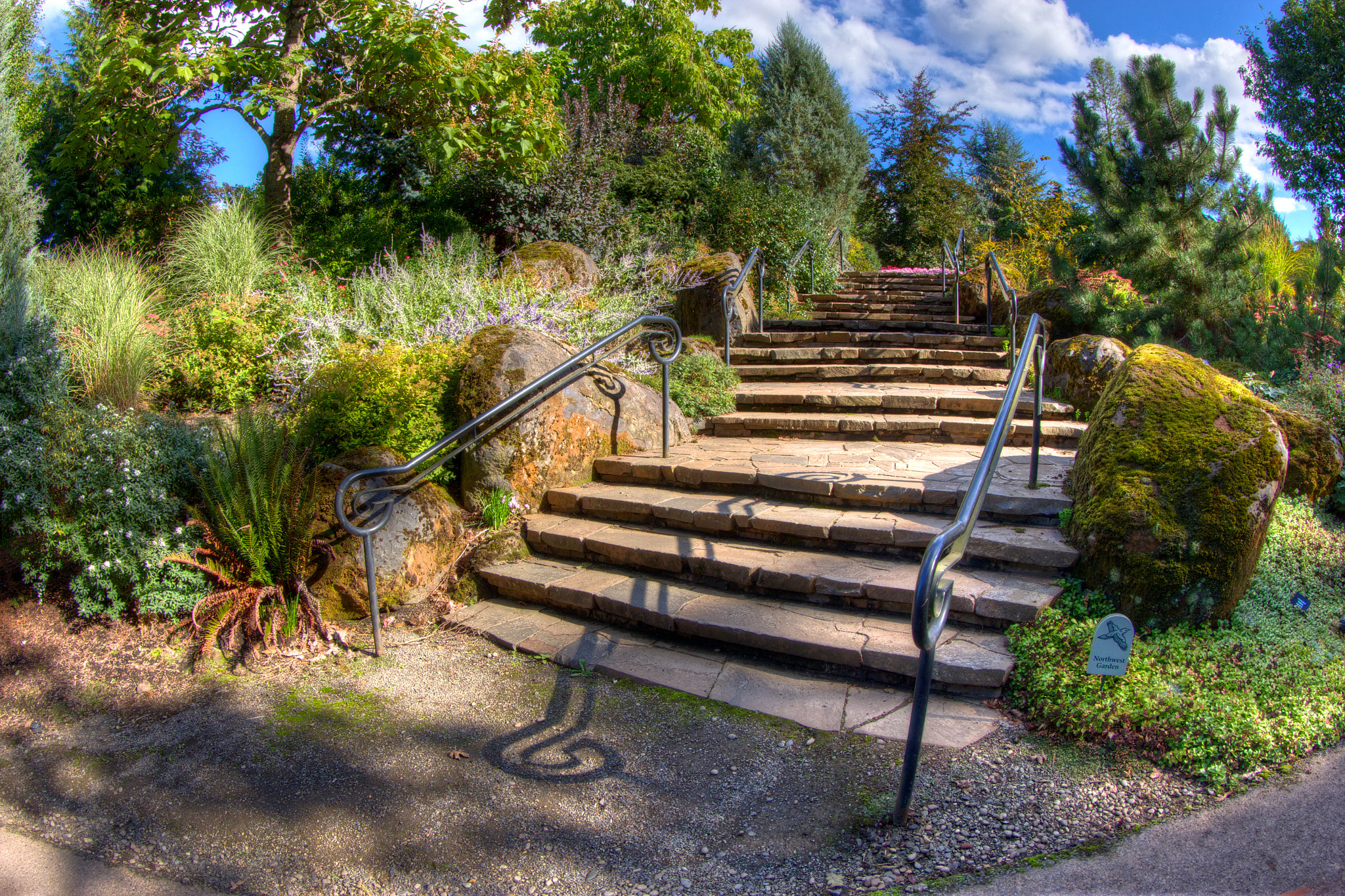 Canon EOS 60D + Canon EF 8-15mm F4L Fisheye USM sample photo. Nature stairway - oregon garden photography