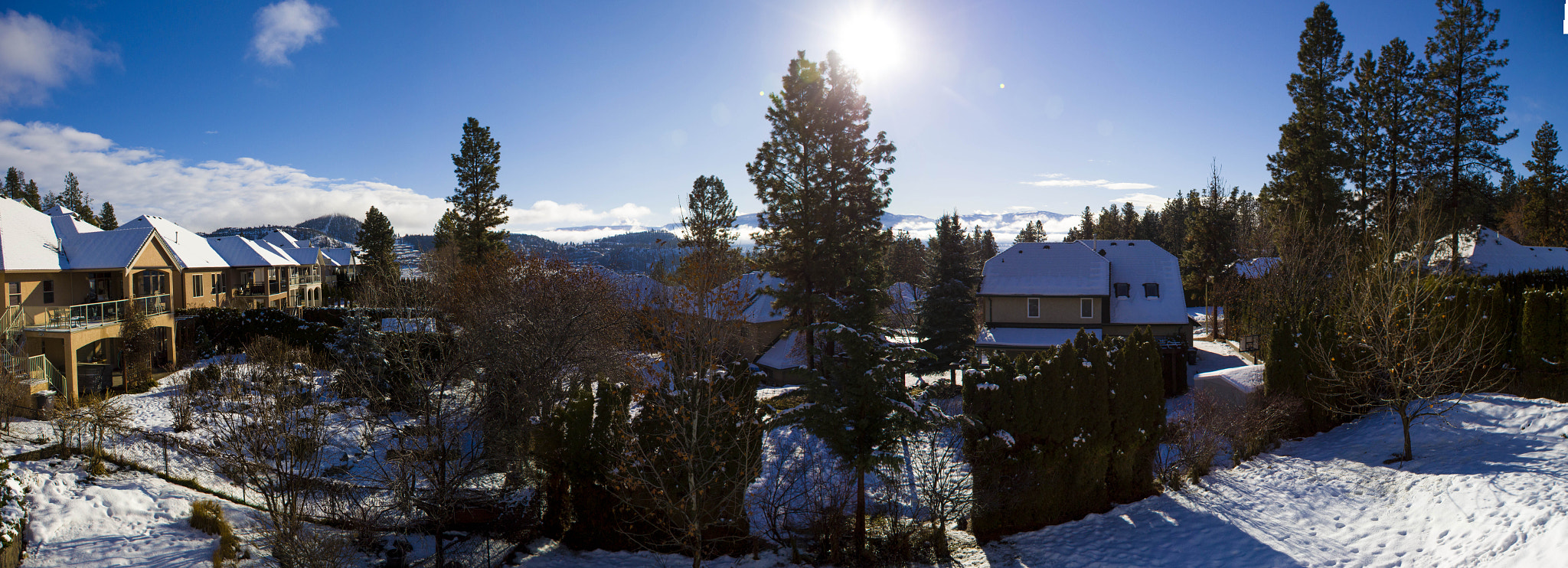 Sigma 18-50mm F2.8-4.5 DC OS HSM sample photo. It's a beautiful day in the neighbourhood photography