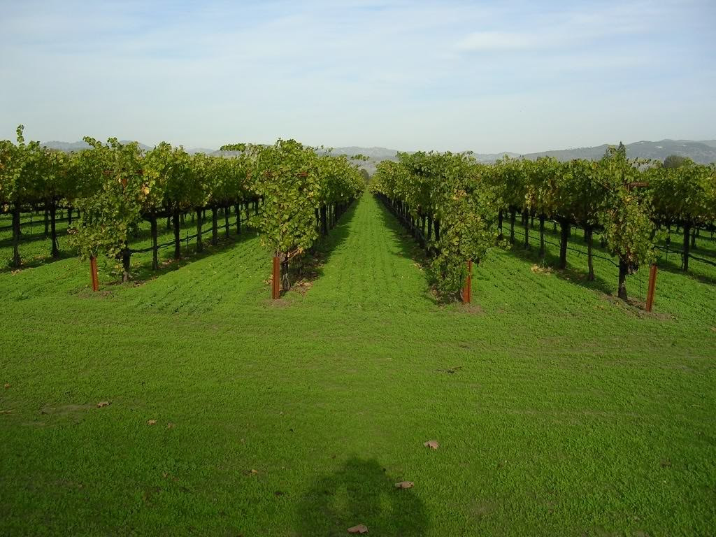 Nikon E3200 sample photo. 1.jpg photography