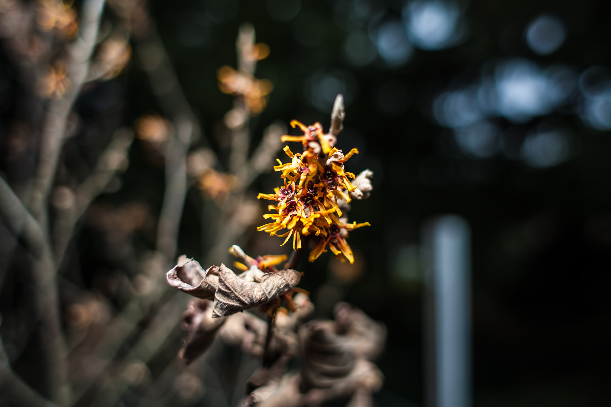 Canon EOS 5D + Canon EF 28mm F1.8 USM sample photo. The light and the dark photography