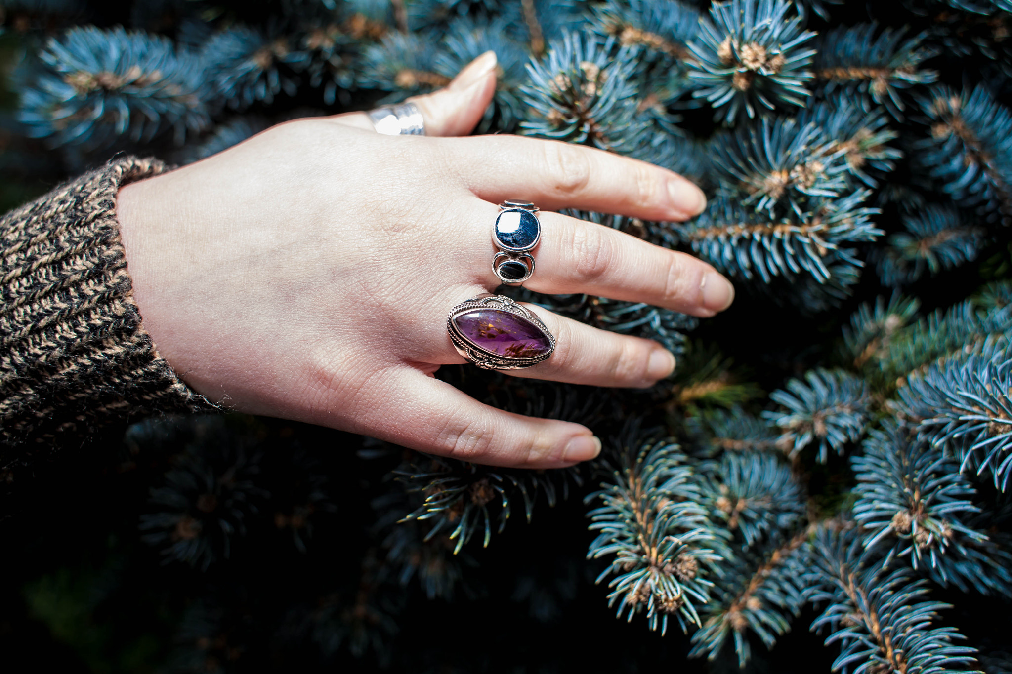 Canon EOS 5D + Canon EF 28mm F1.8 USM sample photo. Hand over blue spruce photography
