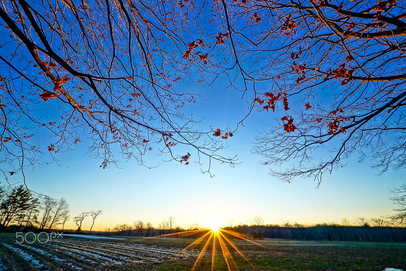 Sony a7S + Sony Vario-Tessar T* FE 16-35mm F4 ZA OSS sample photo. Dsc01785.jpg photography