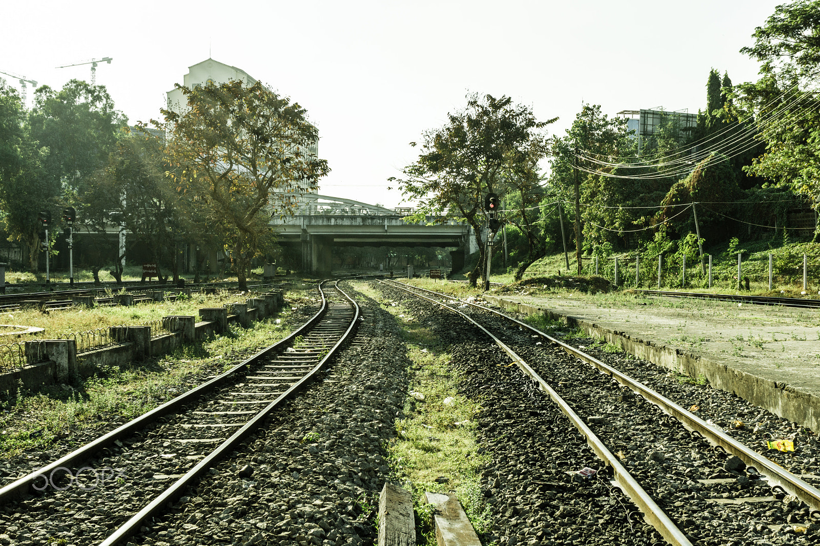 Sony Alpha NEX-7 + Sony E 30mm F3.5 Macro sample photo. Tracks photography