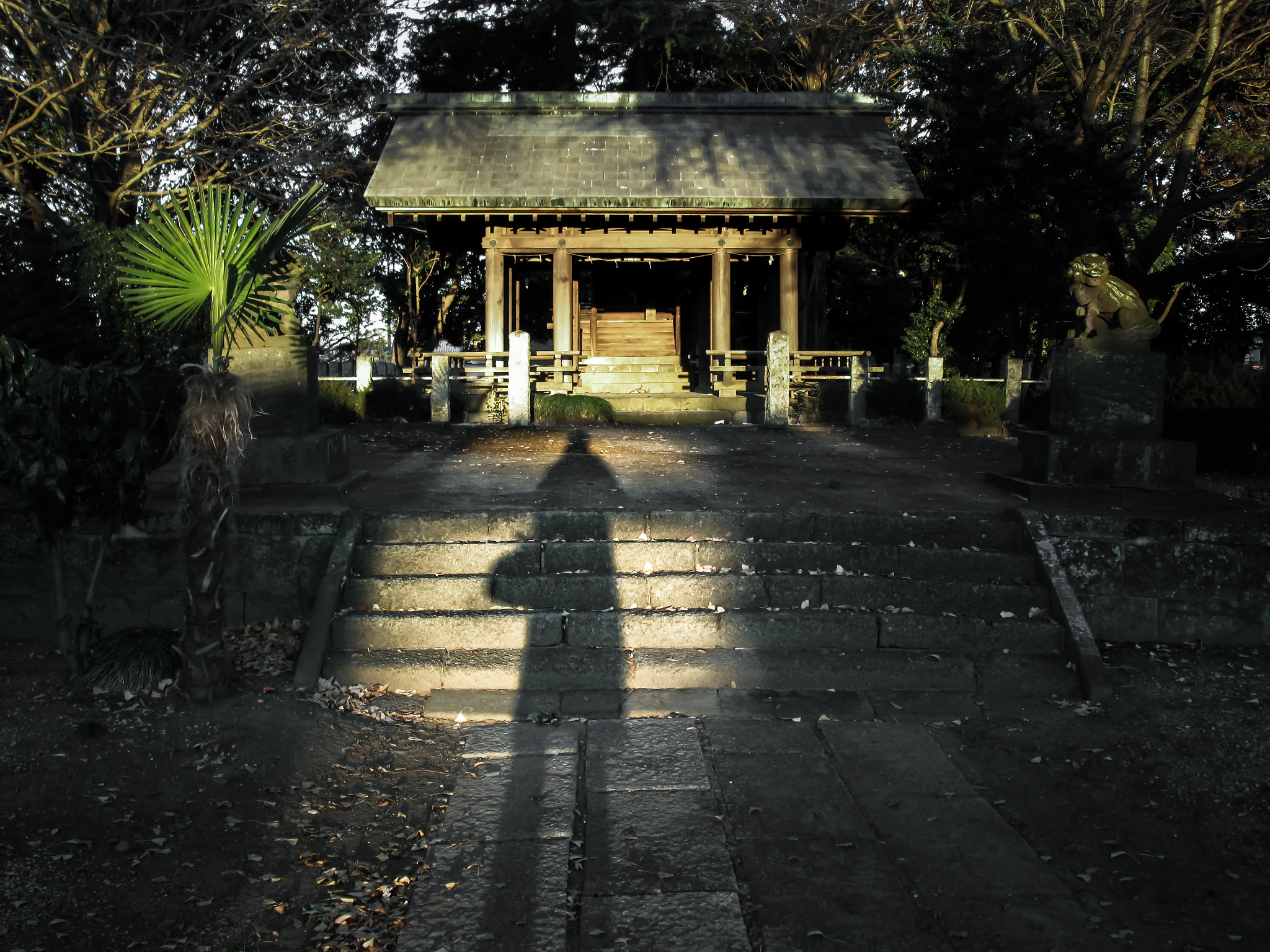 Canon PowerShot A3500 IS sample photo. Stand in front of 　.... photography