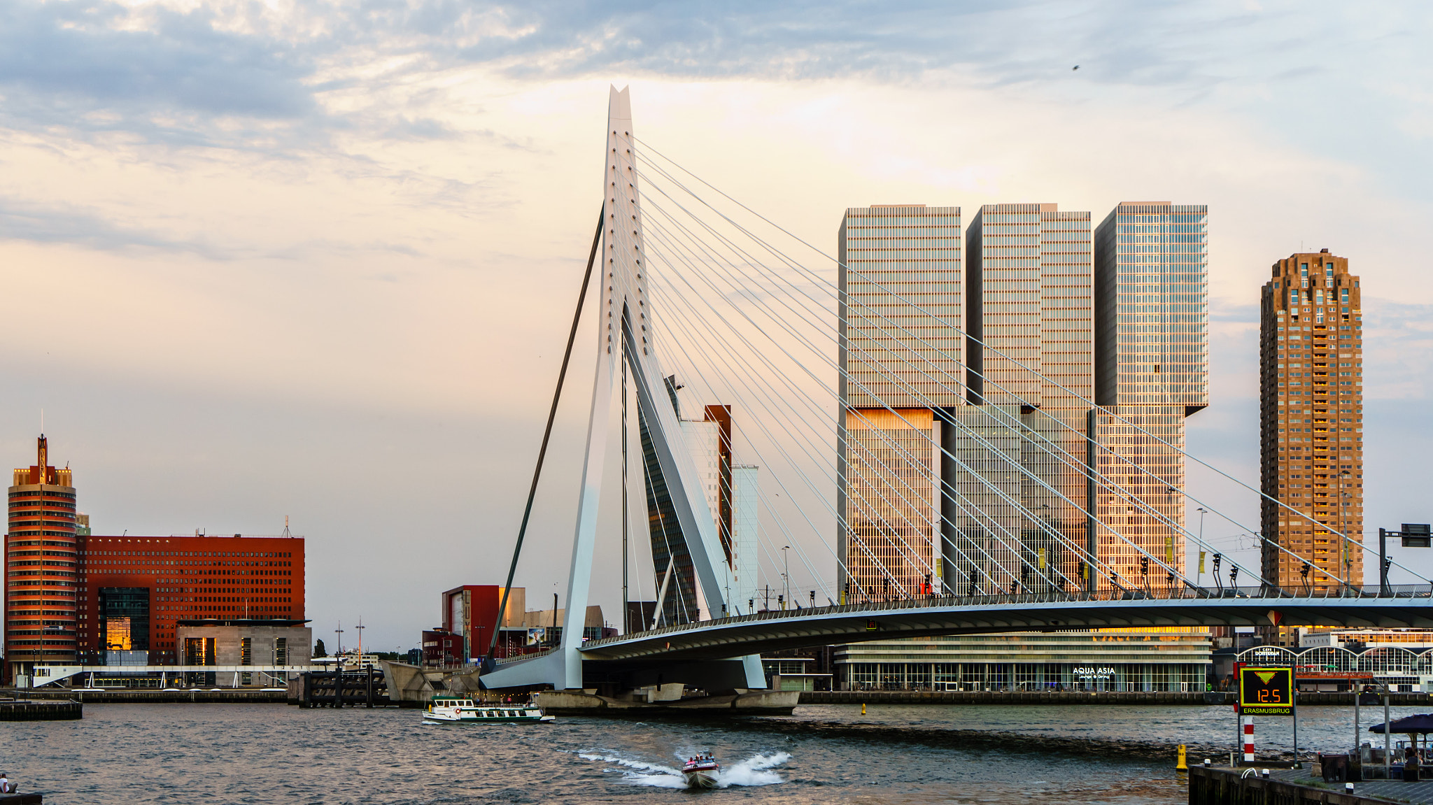 Sony E 35mm F1.8 OSS sample photo. Erasmus bridge in rotterdam photography