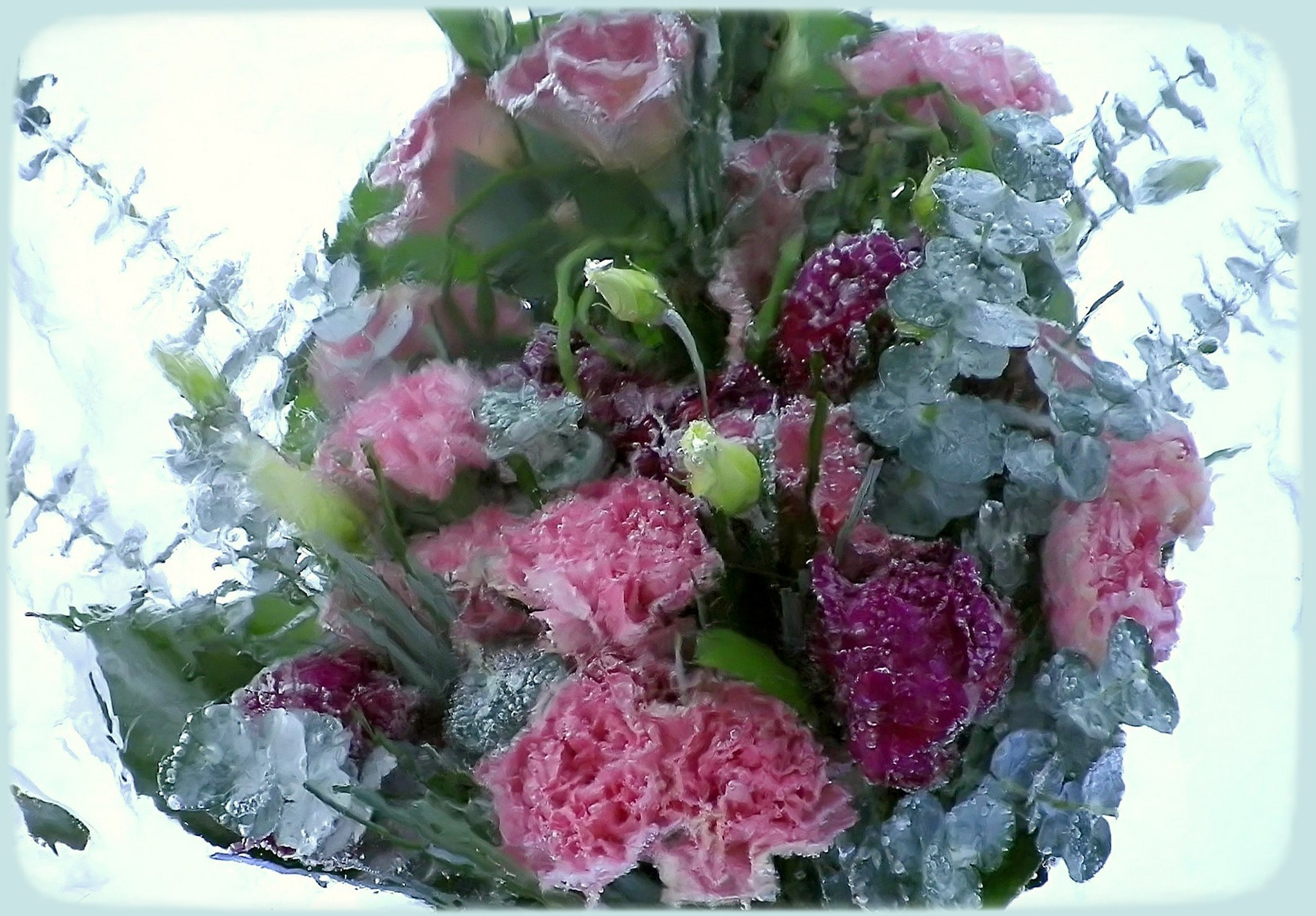 Pentax Optio I-10 sample photo. Flowers in ice photography