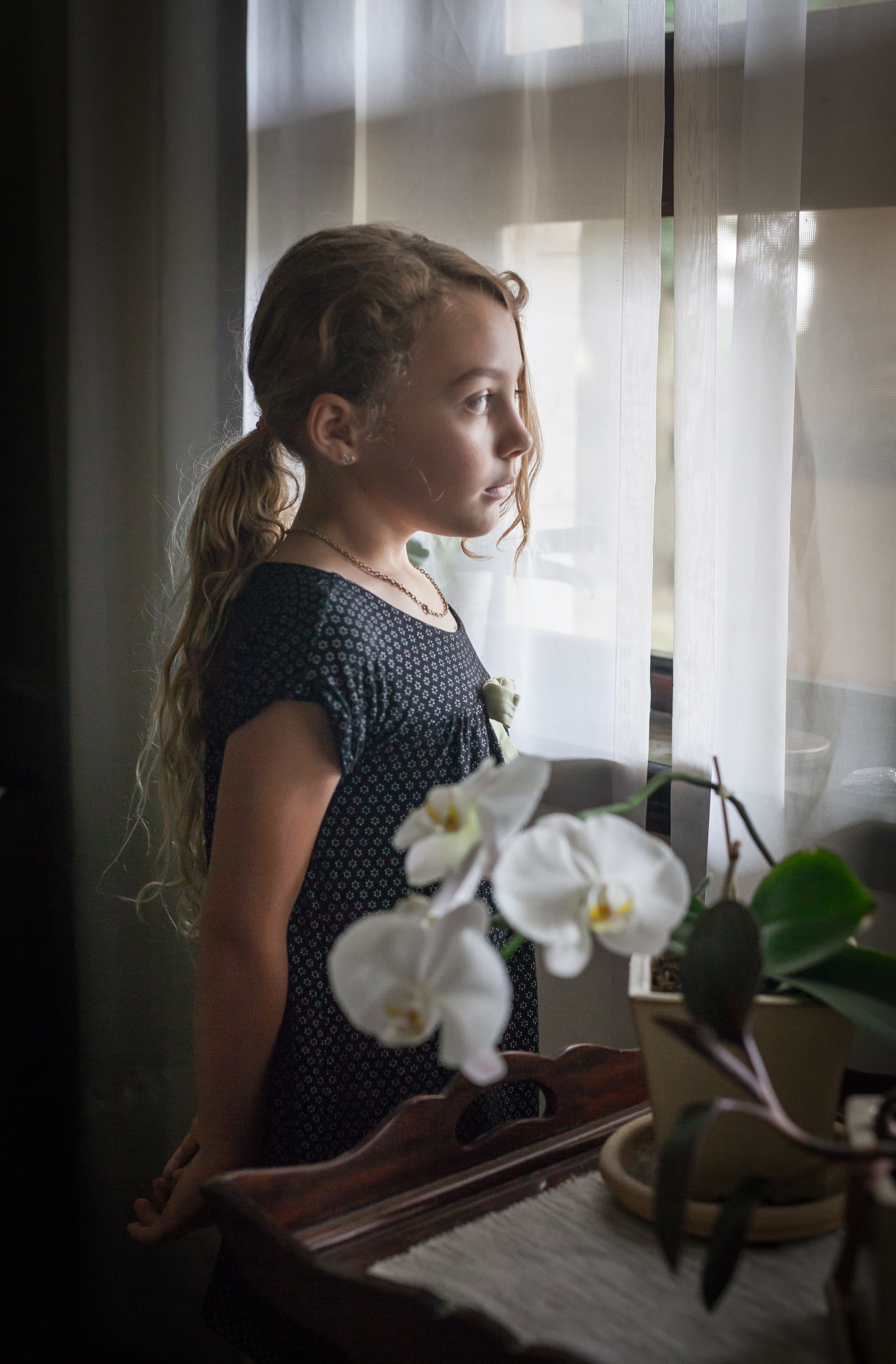 ZEISS Milvus 50mm F1.4 sample photo. The daydream photography