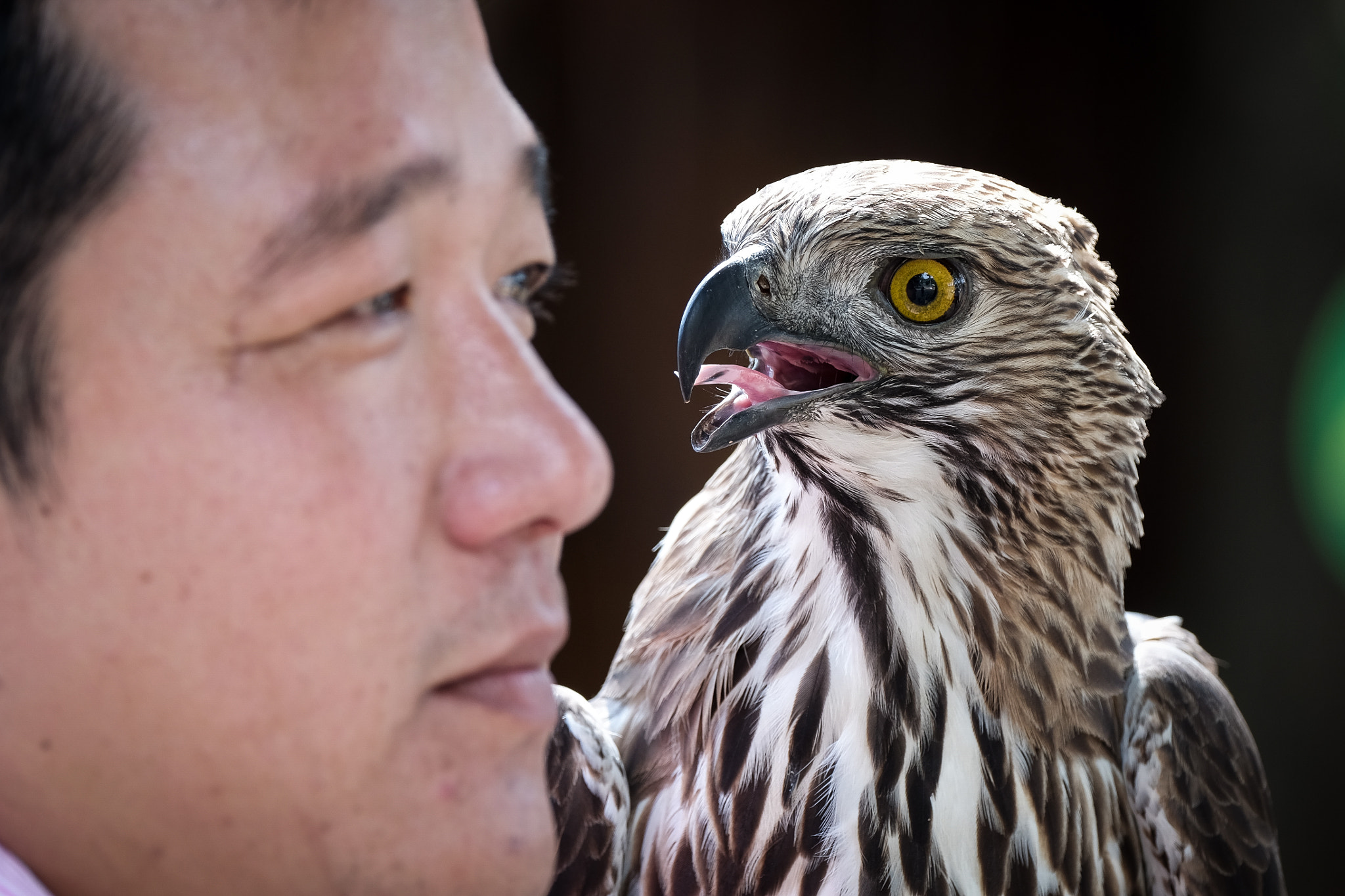 Fujifilm XF 100-400mm F4.5-5.6 R LM OIS WR sample photo. The eagle eyes photography