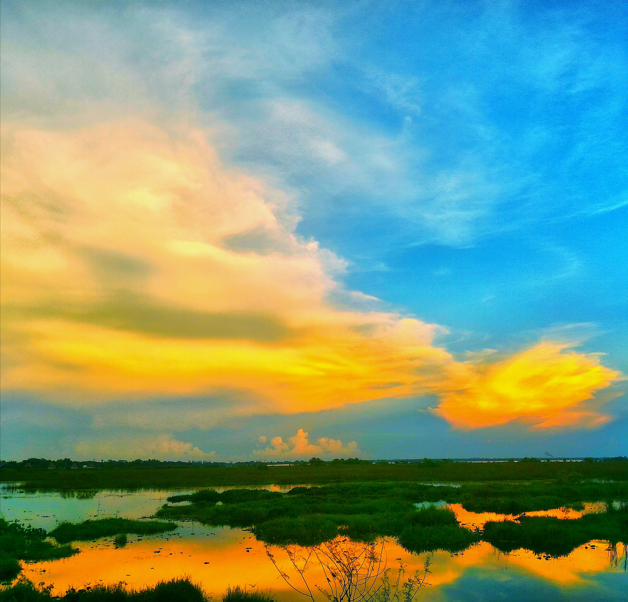ASUS ZenFone 2 (ZE550ML) sample photo. Nonghan photography