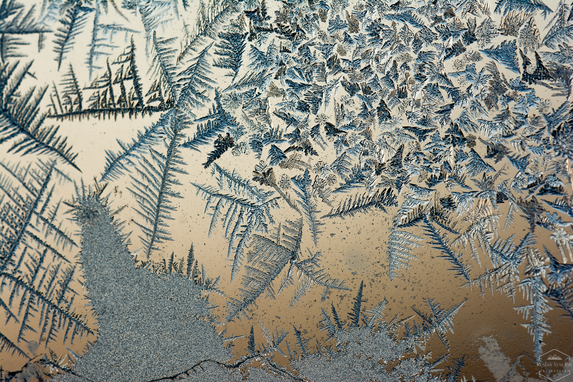 Sigma 150mm F2.8 EX DG OS Macro HSM sample photo. Frozen glass #2 photography