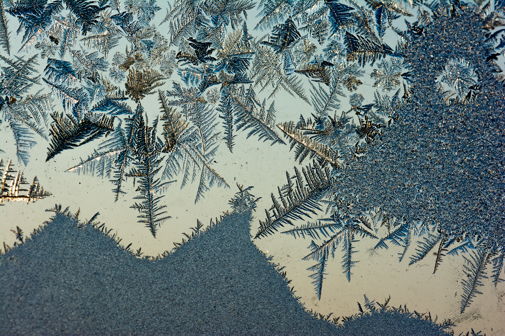 Sigma 150mm F2.8 EX DG OS Macro HSM sample photo. Fantastic frozen paint photography