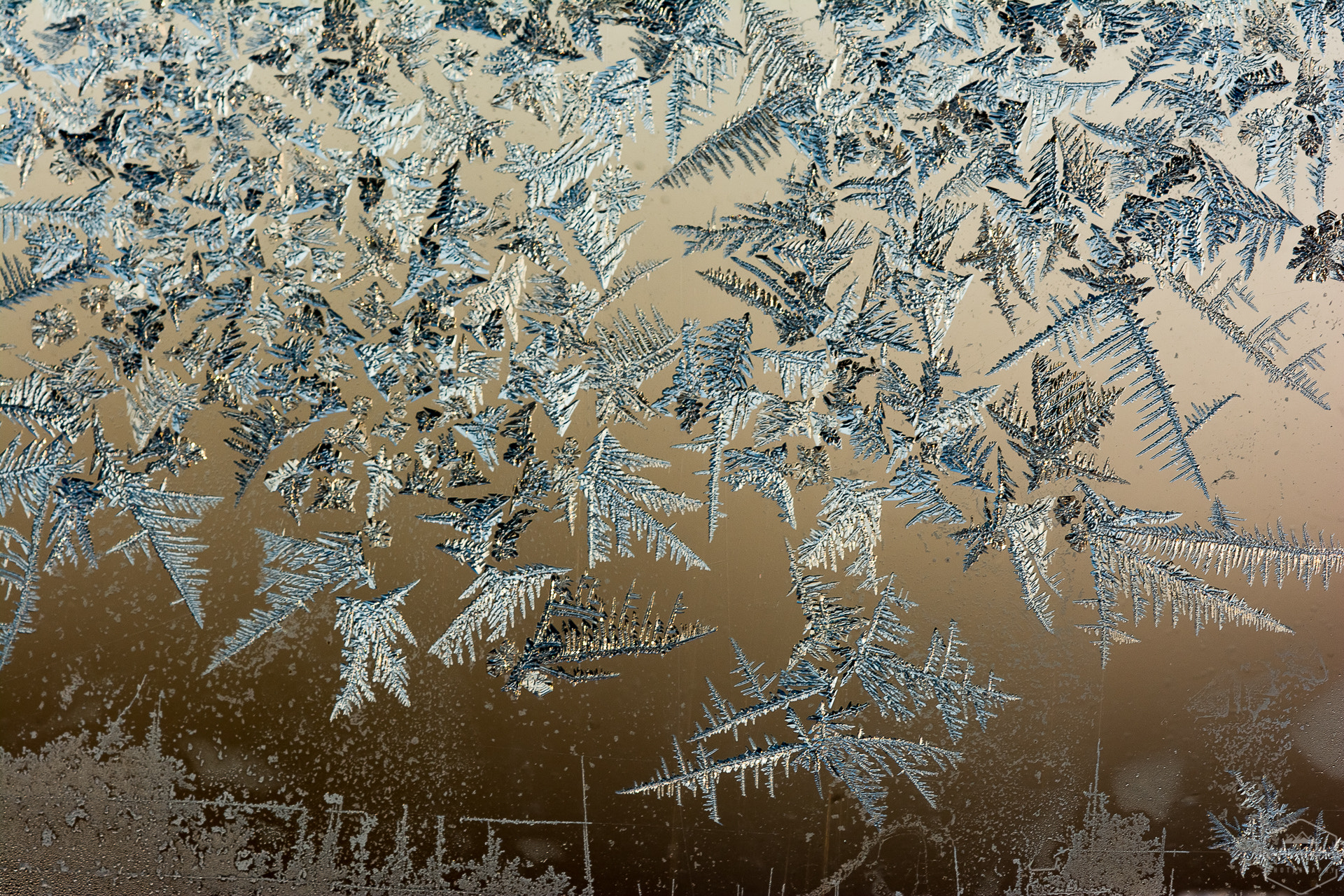 Sigma 150mm F2.8 EX DG OS Macro HSM sample photo. Frozen glass photography