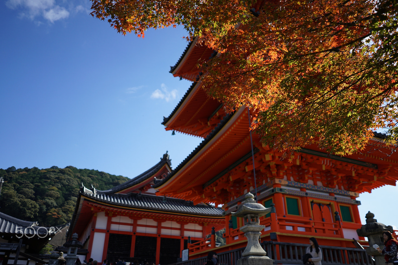 Sony a7 II + Sony FE 28mm F2 sample photo. Dsc00095.jpg photography