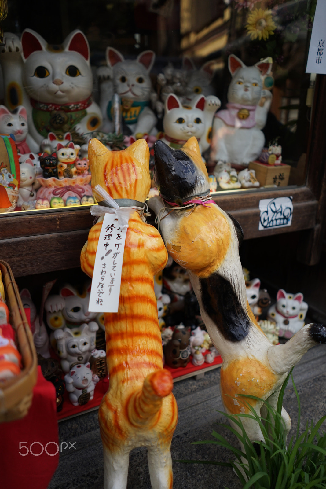 Sony a7 II + Sony FE 28mm F2 sample photo. Dsc00252.jpg photography