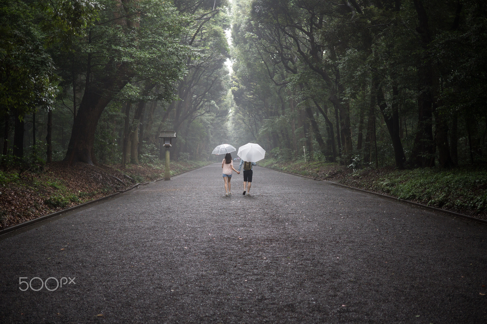 Sony Alpha NEX-7 + E 32mm F1.8 sample photo. Lovers in yoyogi park photography