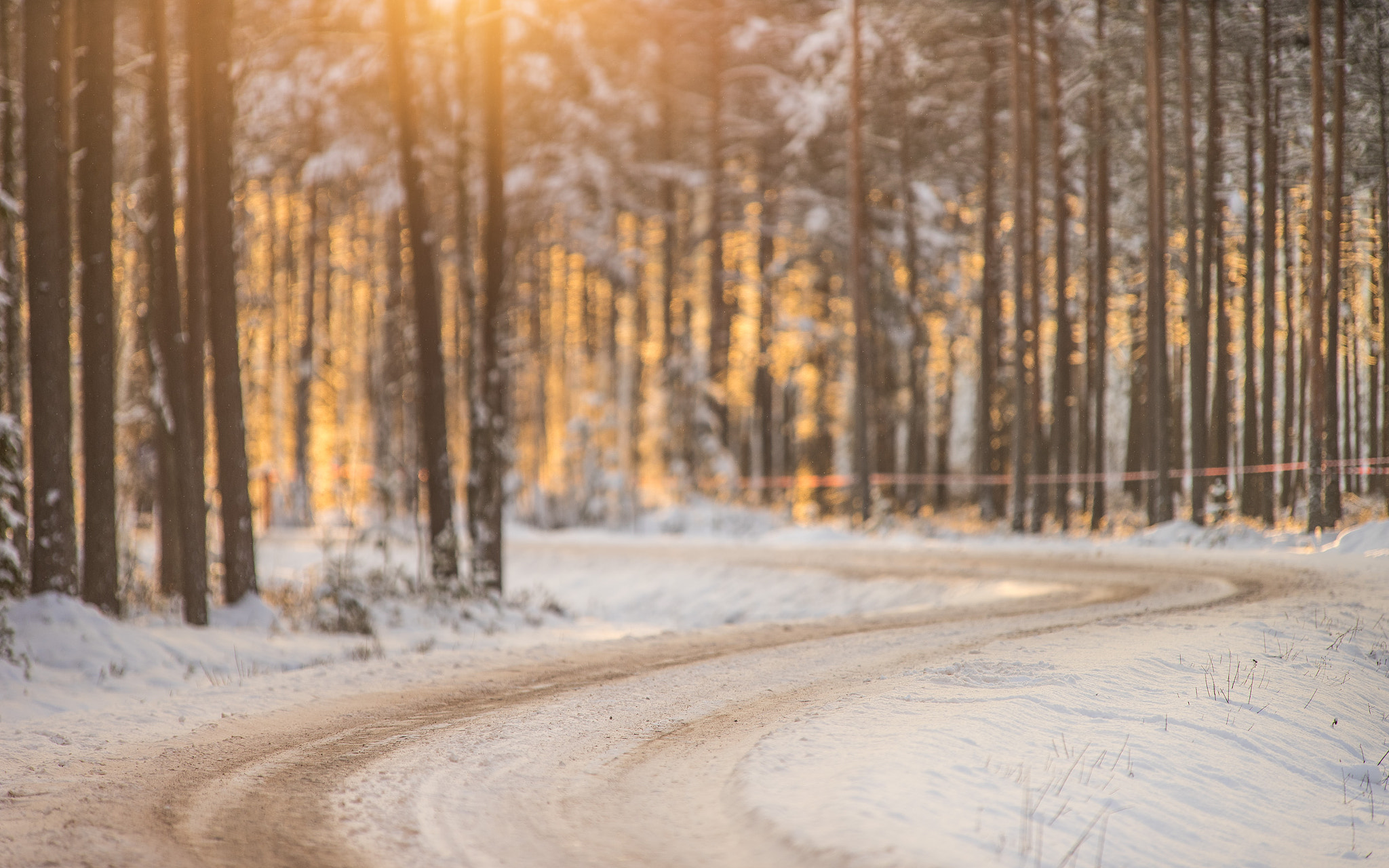 0mm F0 SAM sample photo. Winter rally sunrise photography