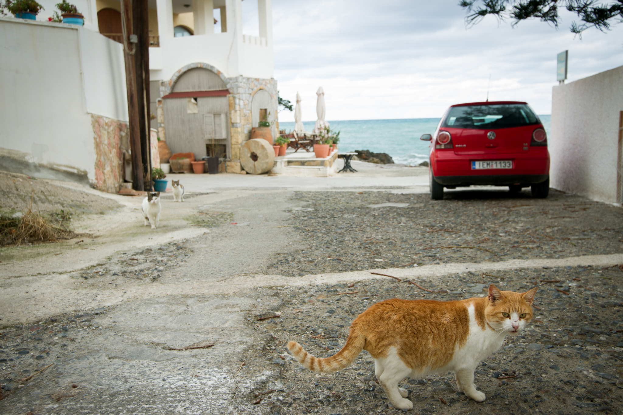 Sony Alpha DSLR-A850 sample photo. Crete photography