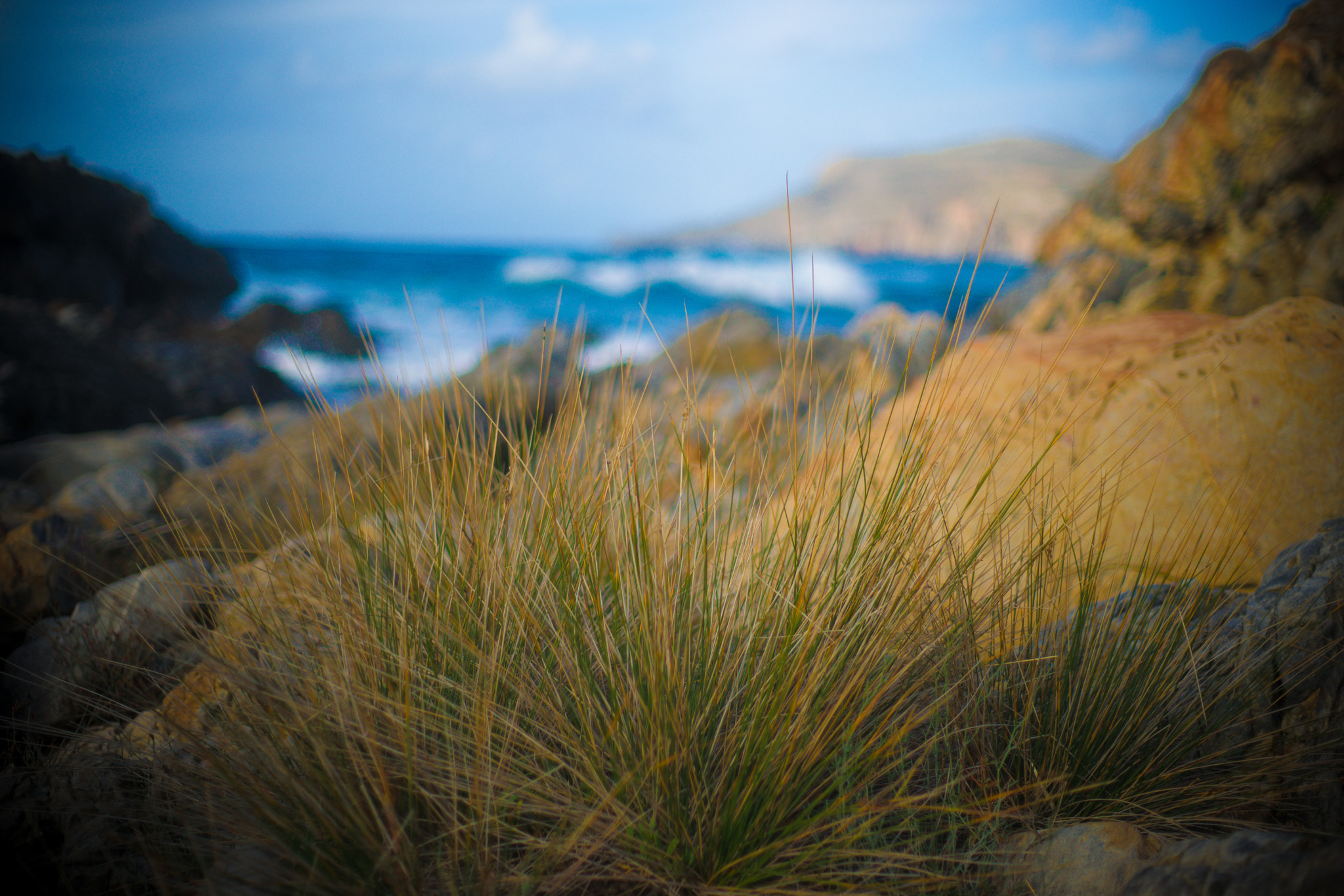 Sony Alpha DSLR-A850 + Minolta AF 50mm F1.4 [New] sample photo. Crete photography