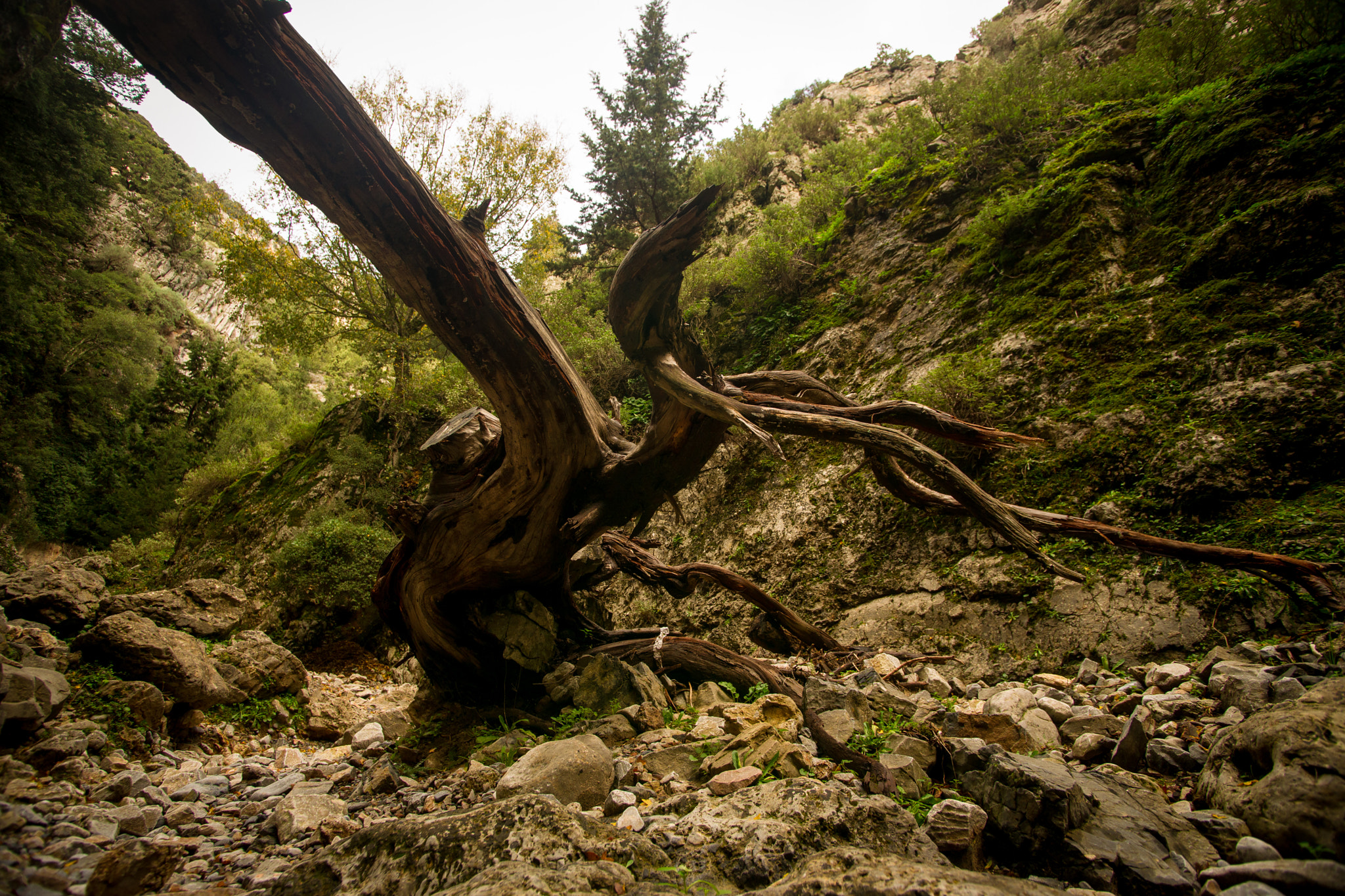 Minolta AF 17-35mm F2.8-4 (D) sample photo. Crete photography
