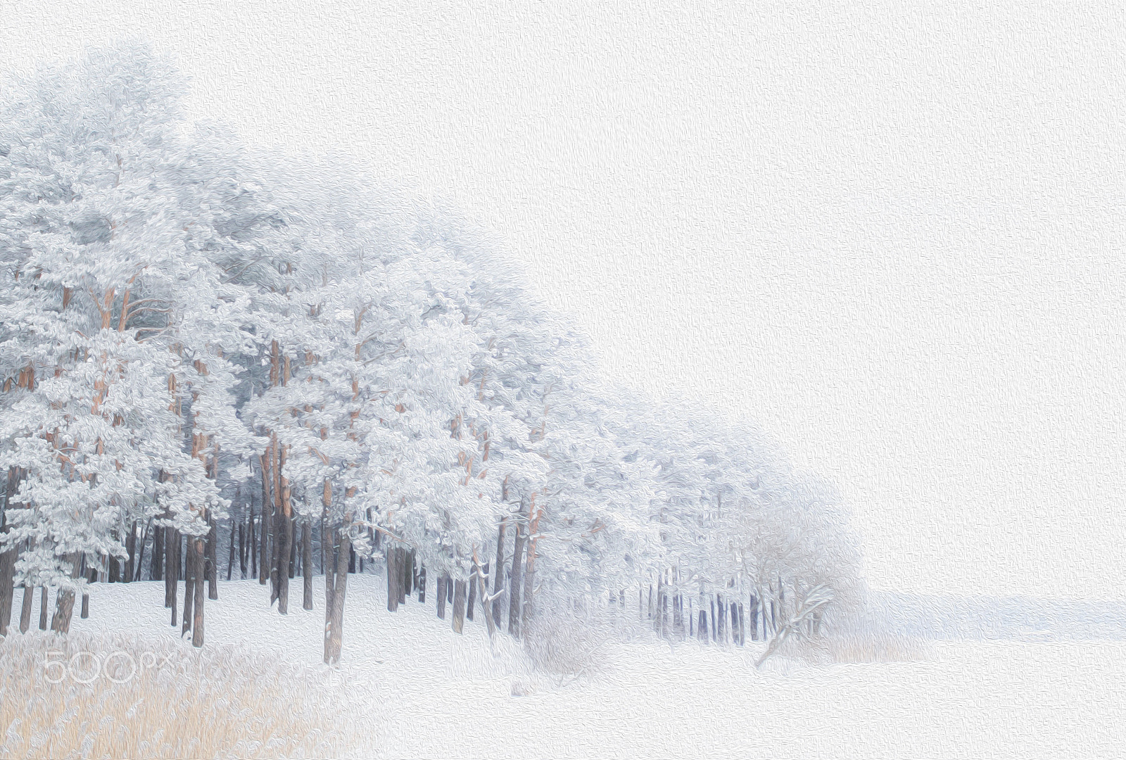 Minolta AF 24-85mm F3.5-4.5 [New] sample photo. -30c photography
