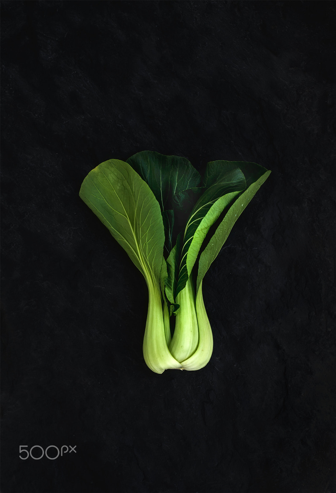 Nikon D610 + ZEISS Distagon T* 35mm F2 sample photo. Pak choi on slate stone black background, top view. photography
