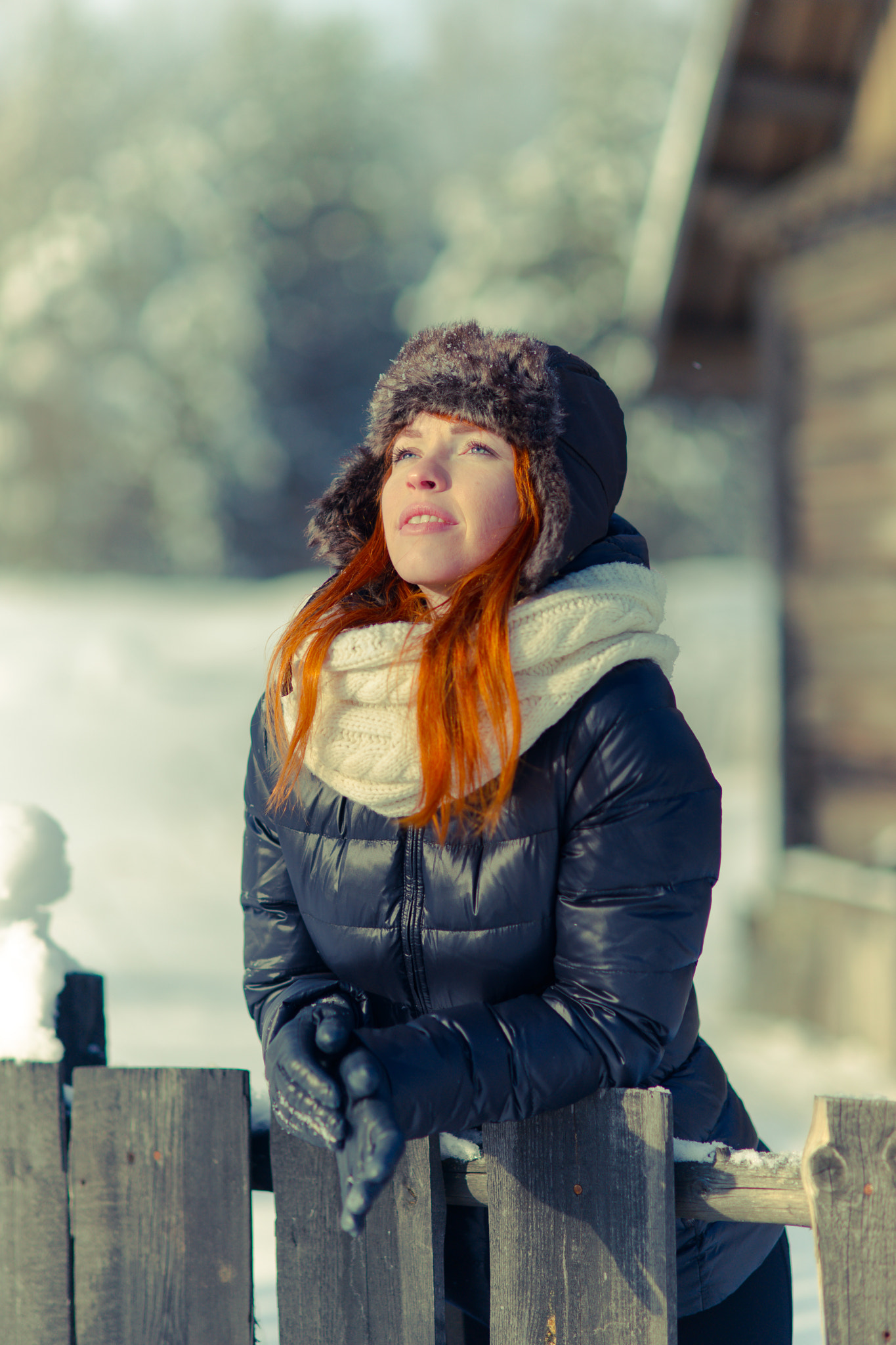 Sony Planar T* 85mm F1.4 ZA sample photo. Winter red fox photography