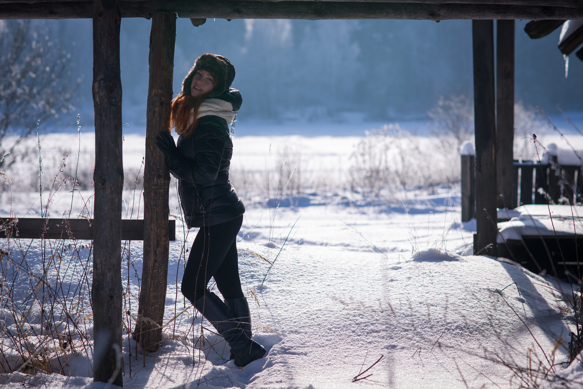 Sony Planar T* 85mm F1.4 ZA sample photo. Winter red fox photography
