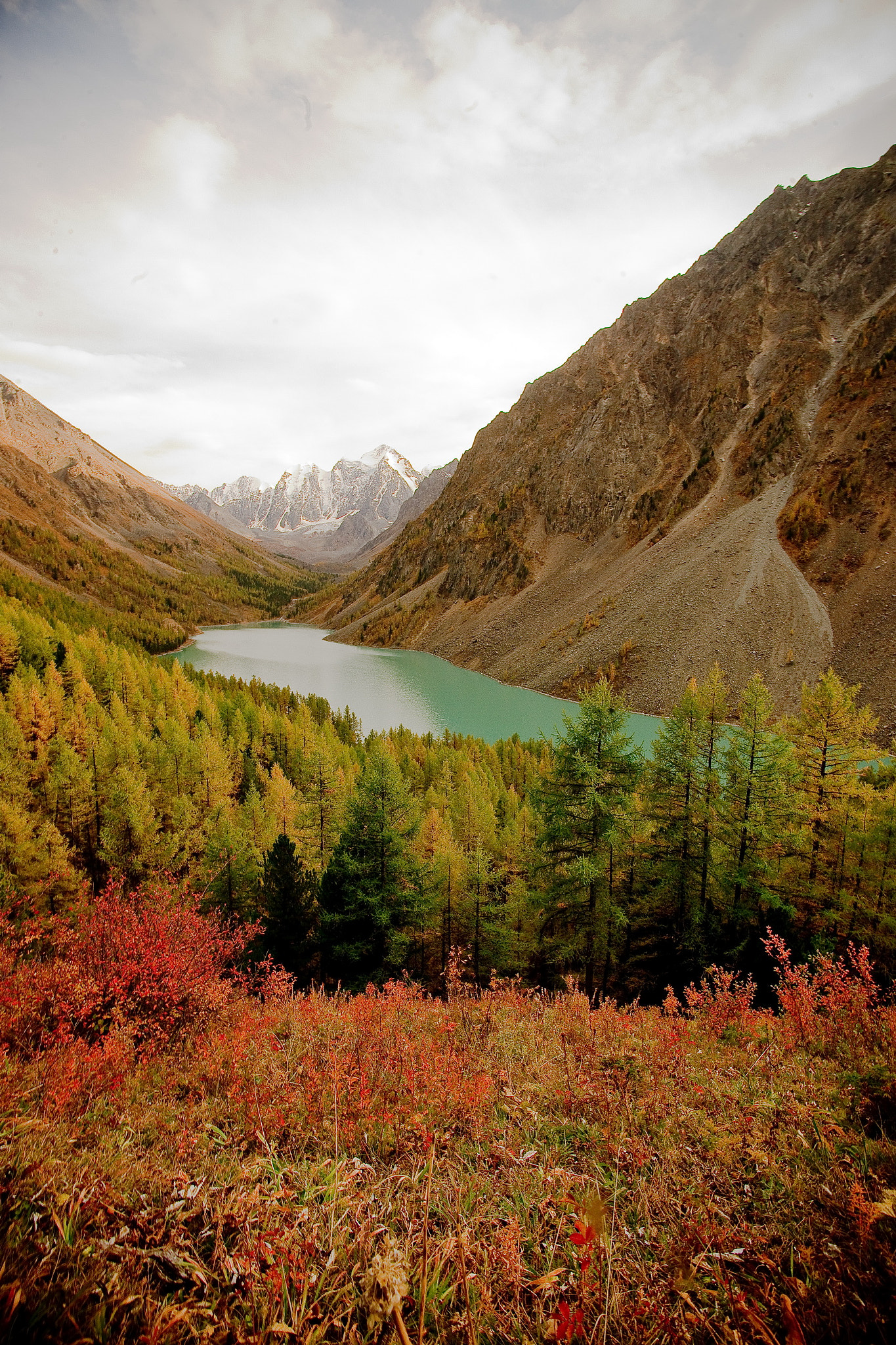 Sony Alpha DSLR-A850 + Minolta AF 17-35mm F2.8-4 (D) sample photo. Altai shavla-maashei photography