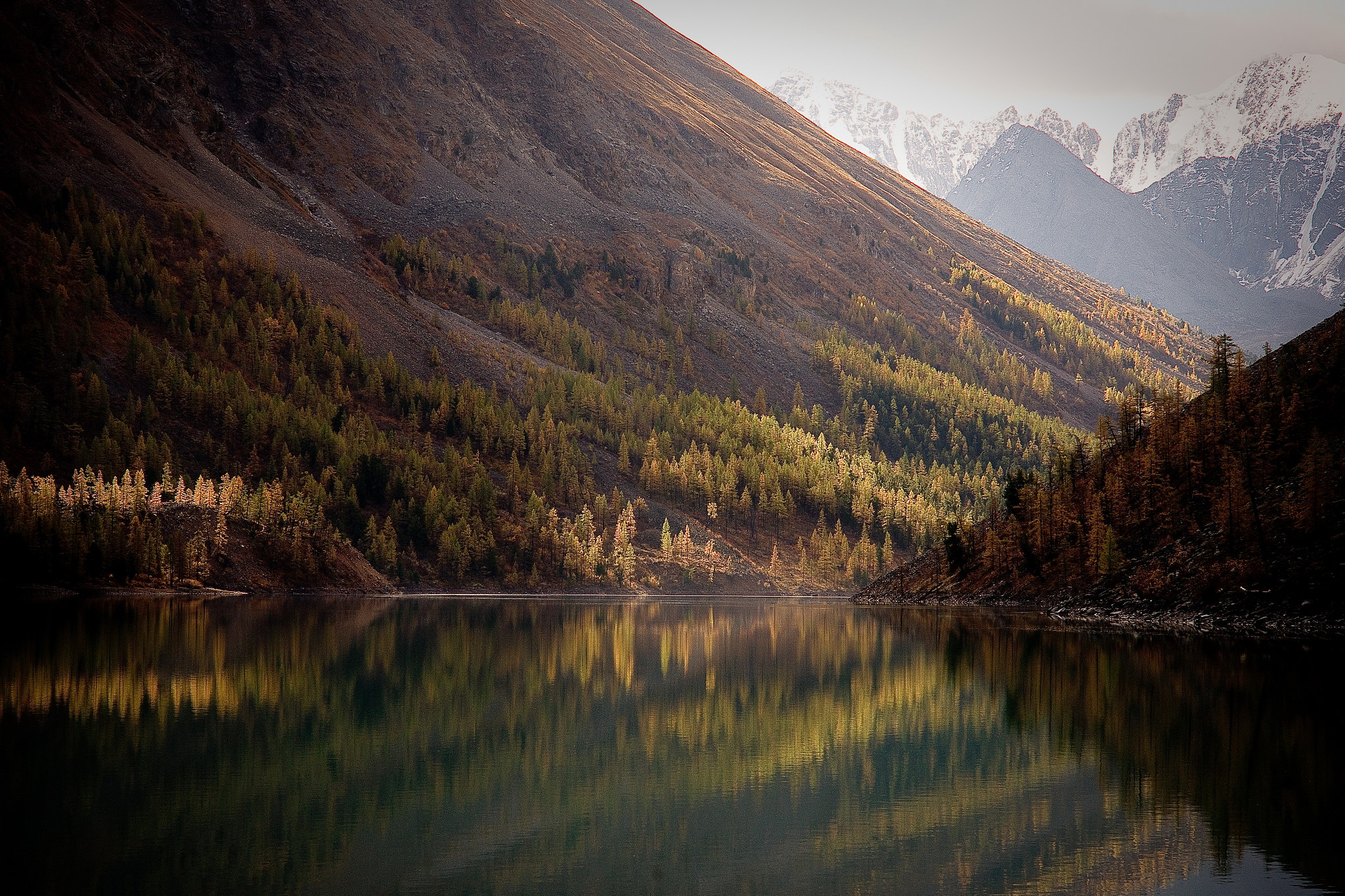 Sony Alpha DSLR-A850 sample photo. Altai shavla-maashei photography
