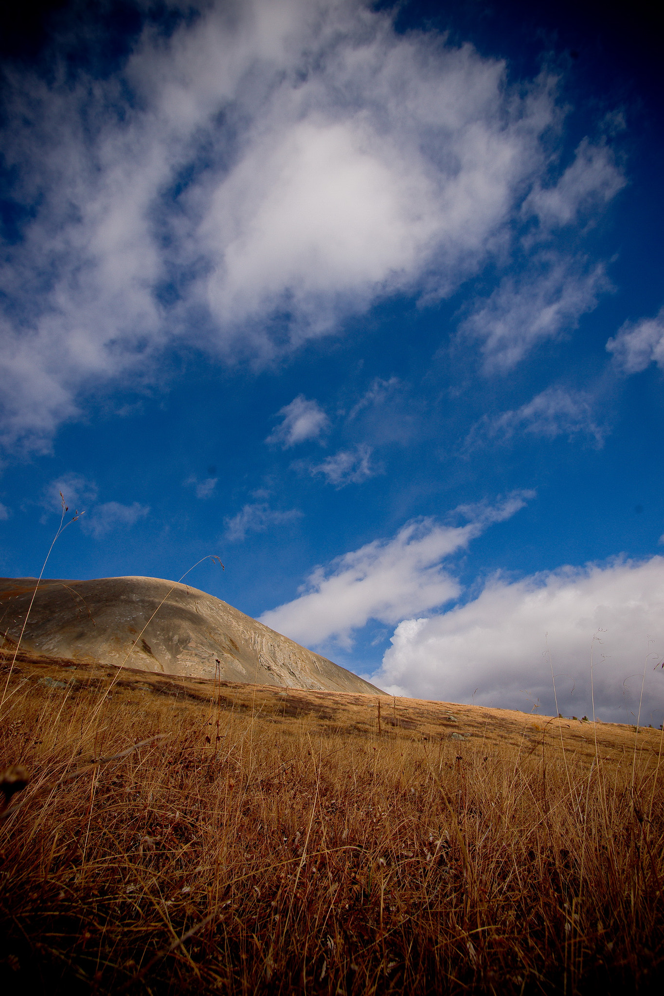 Sony Alpha DSLR-A850 sample photo. Altai shavla-maashei photography