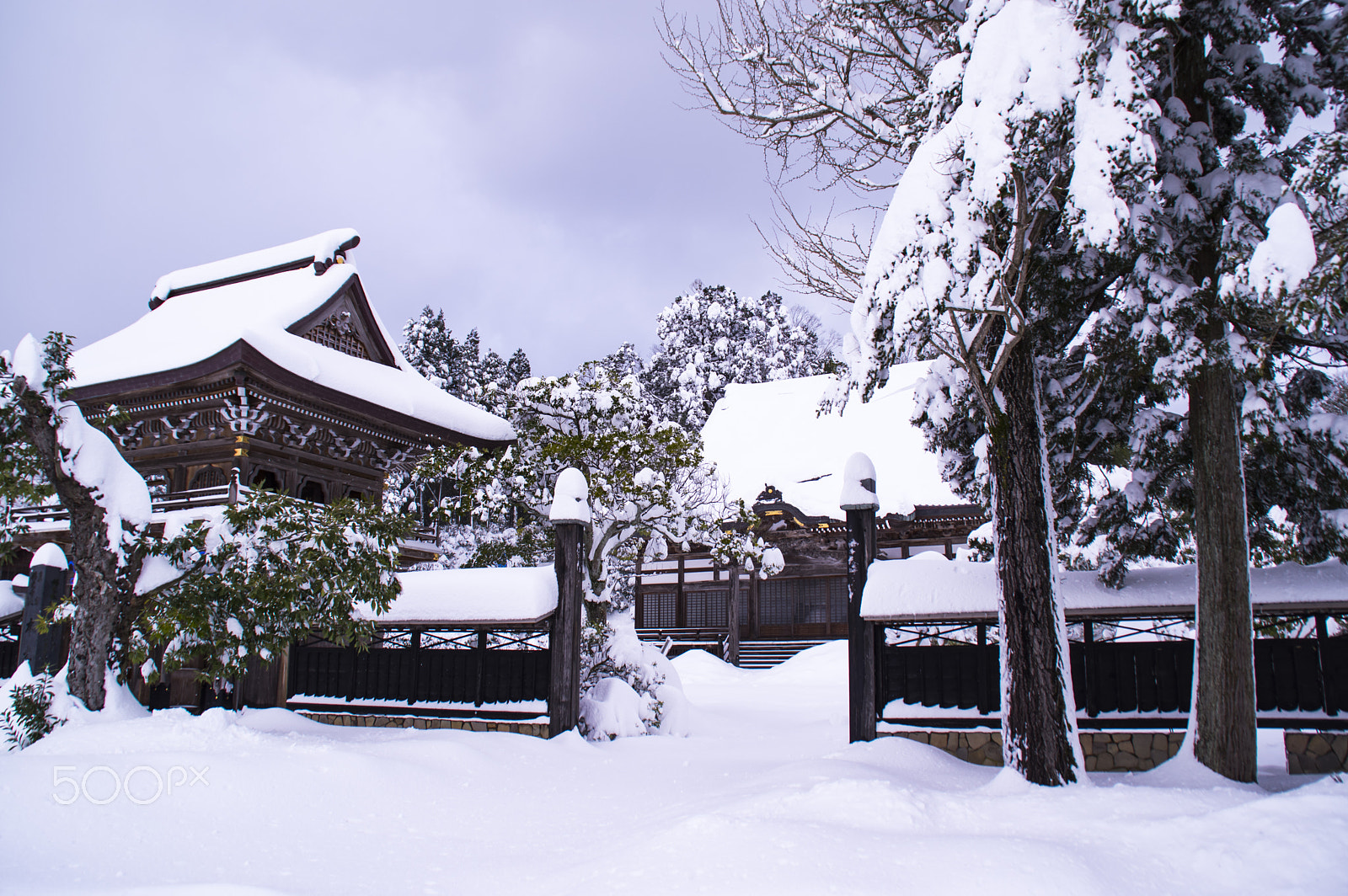 Pentax K-3 II sample photo. "冬のお寺"winter temple photography