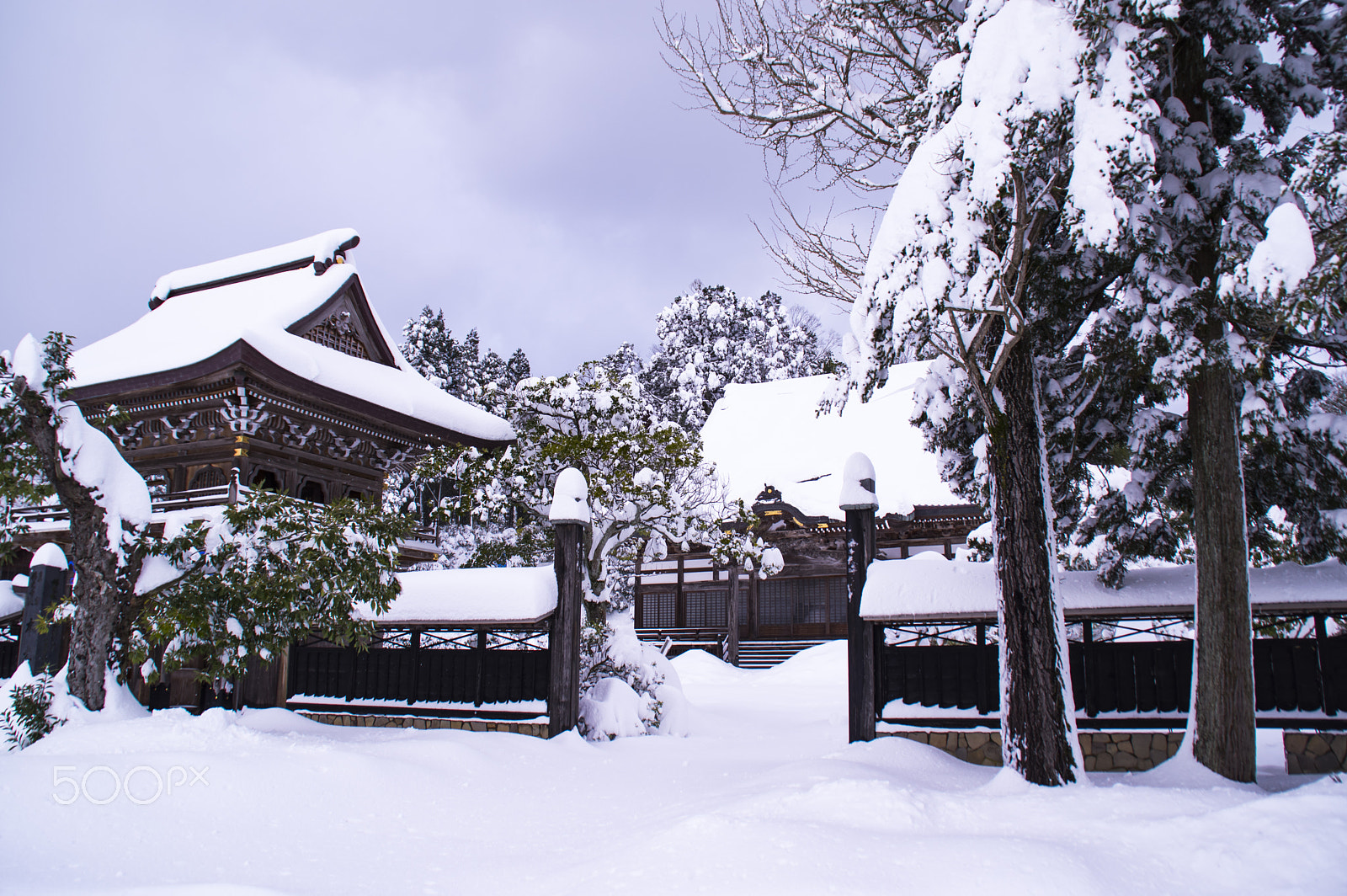 Tamron AF 18-200mm F3.5-6.3 XR Di II LD Aspherical (IF) Macro sample photo. "冬のお寺"winter temple photography