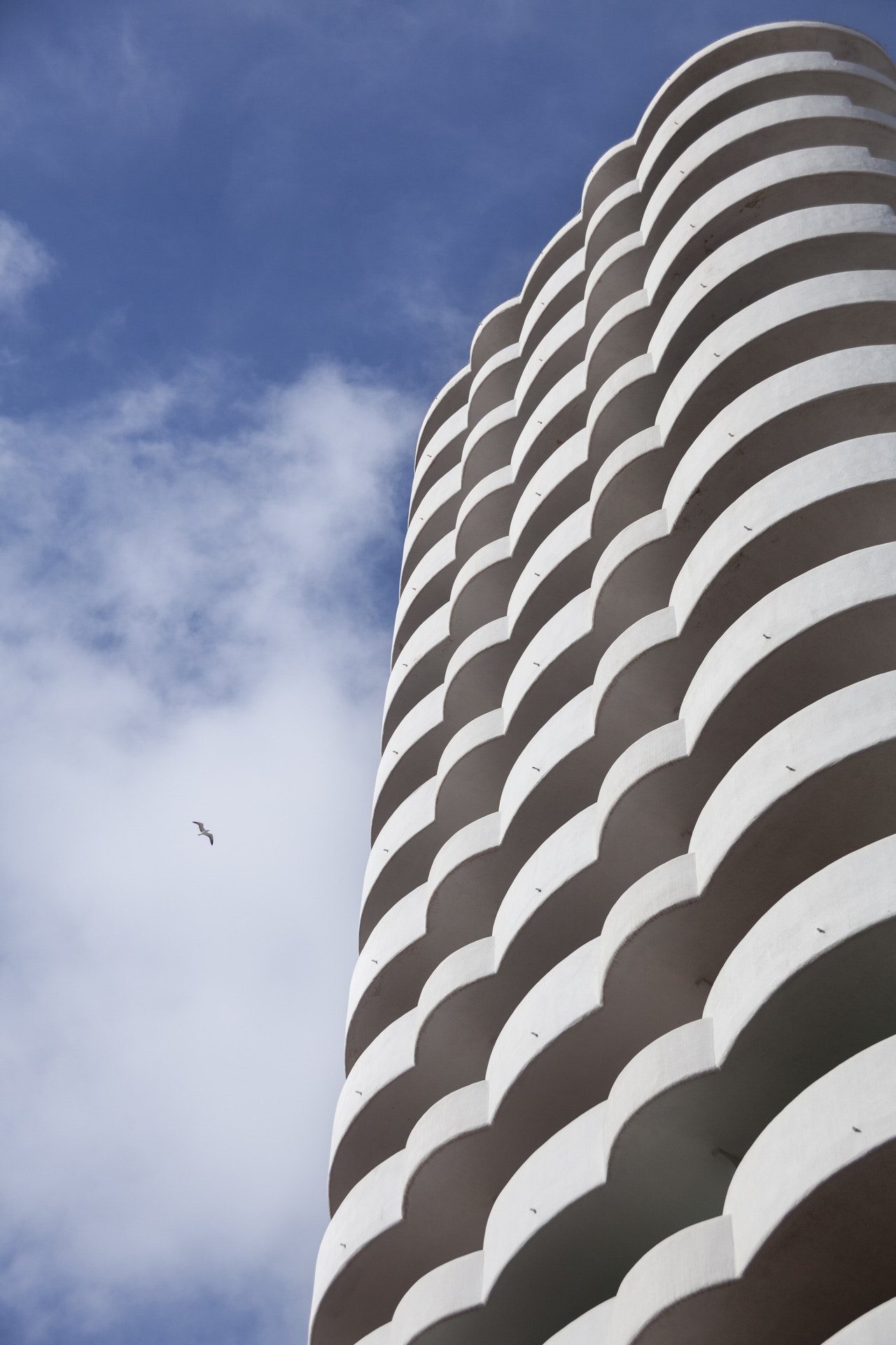Canon EF 24-85mm F3.5-4.5 USM sample photo. Bird and building photography