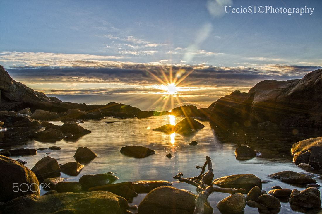 Sony Alpha DSLR-A580 + Sigma 18-200mm F3.5-6.3 DC sample photo. The spectacle of nature photography