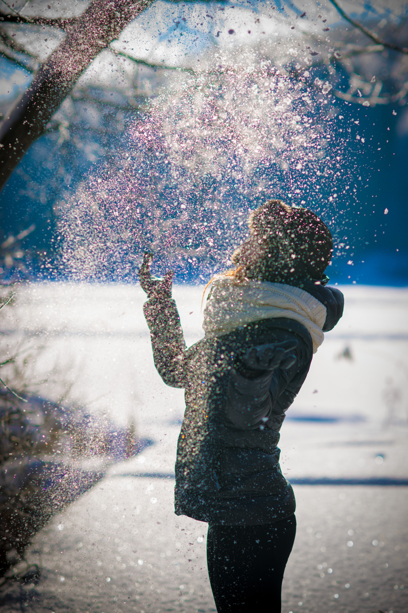 Sony Planar T* 85mm F1.4 ZA sample photo. Winter red fox photography