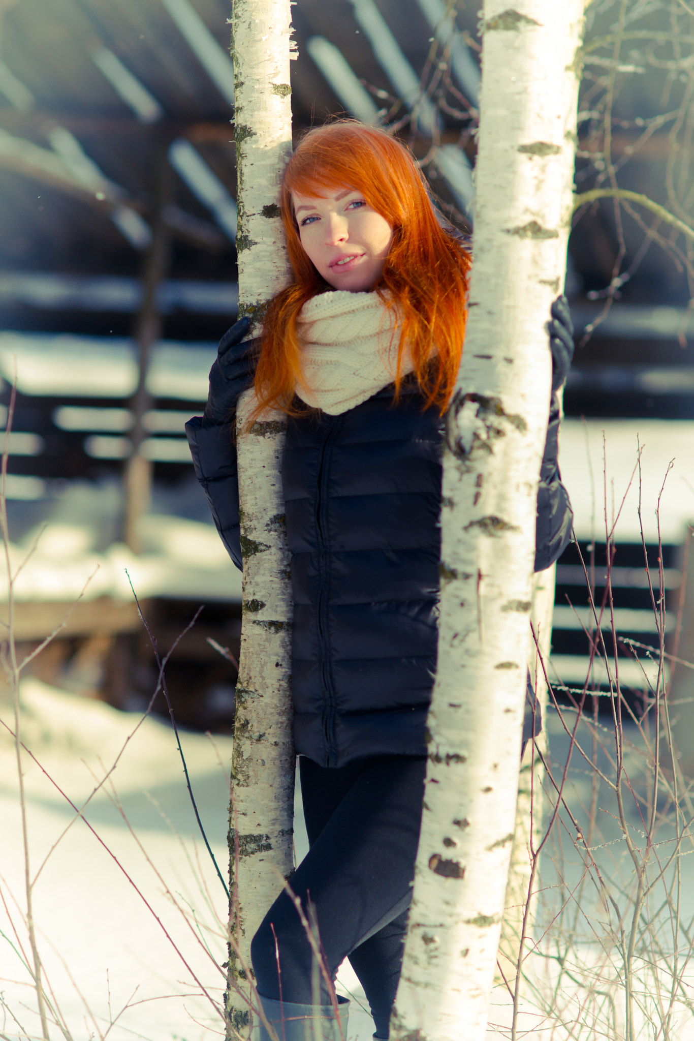 Sony Alpha DSLR-A850 sample photo. Winter red fox photography
