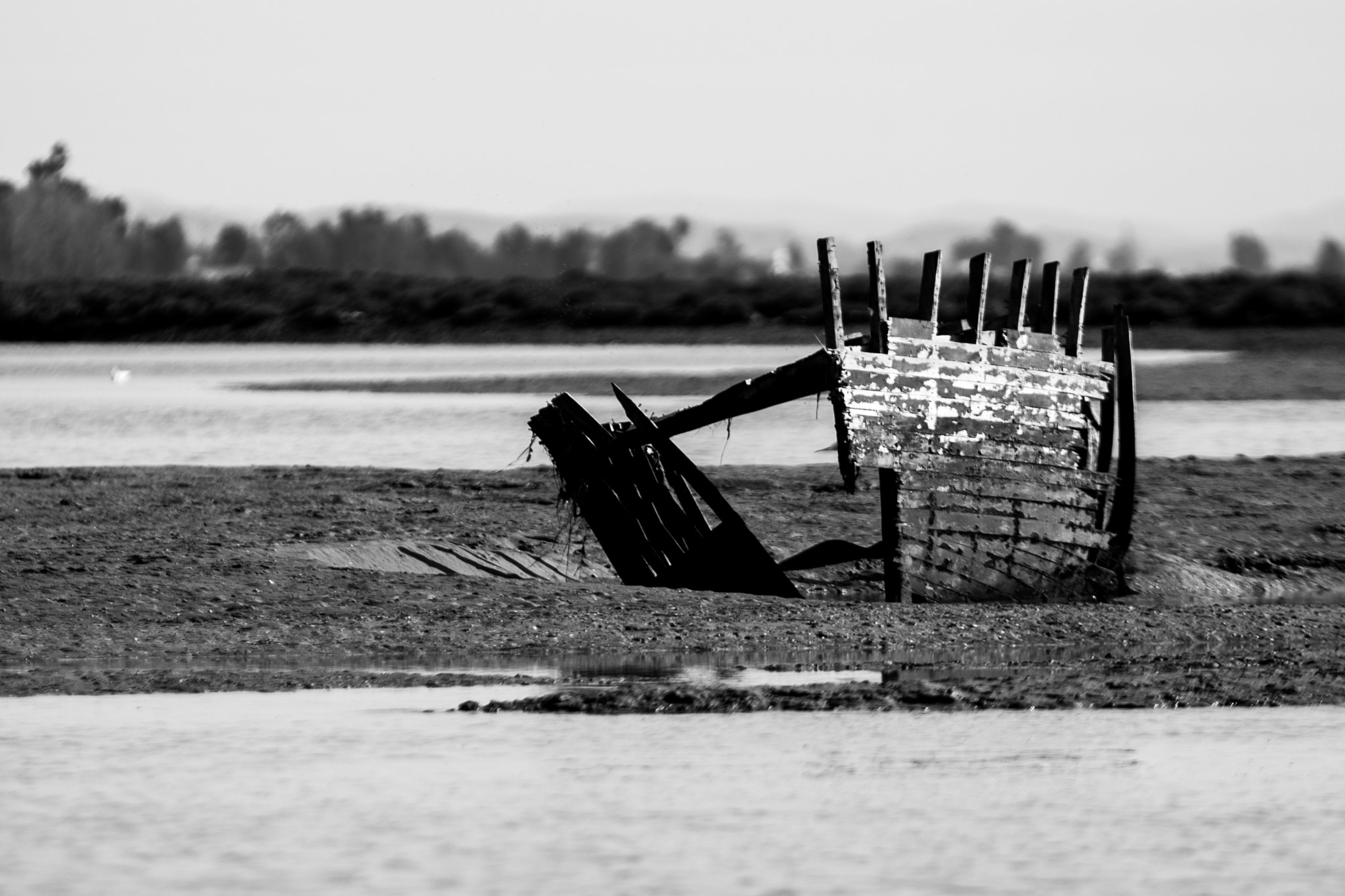 Canon EOS-1D Mark IV sample photo. Bw6f1109.jpg photography