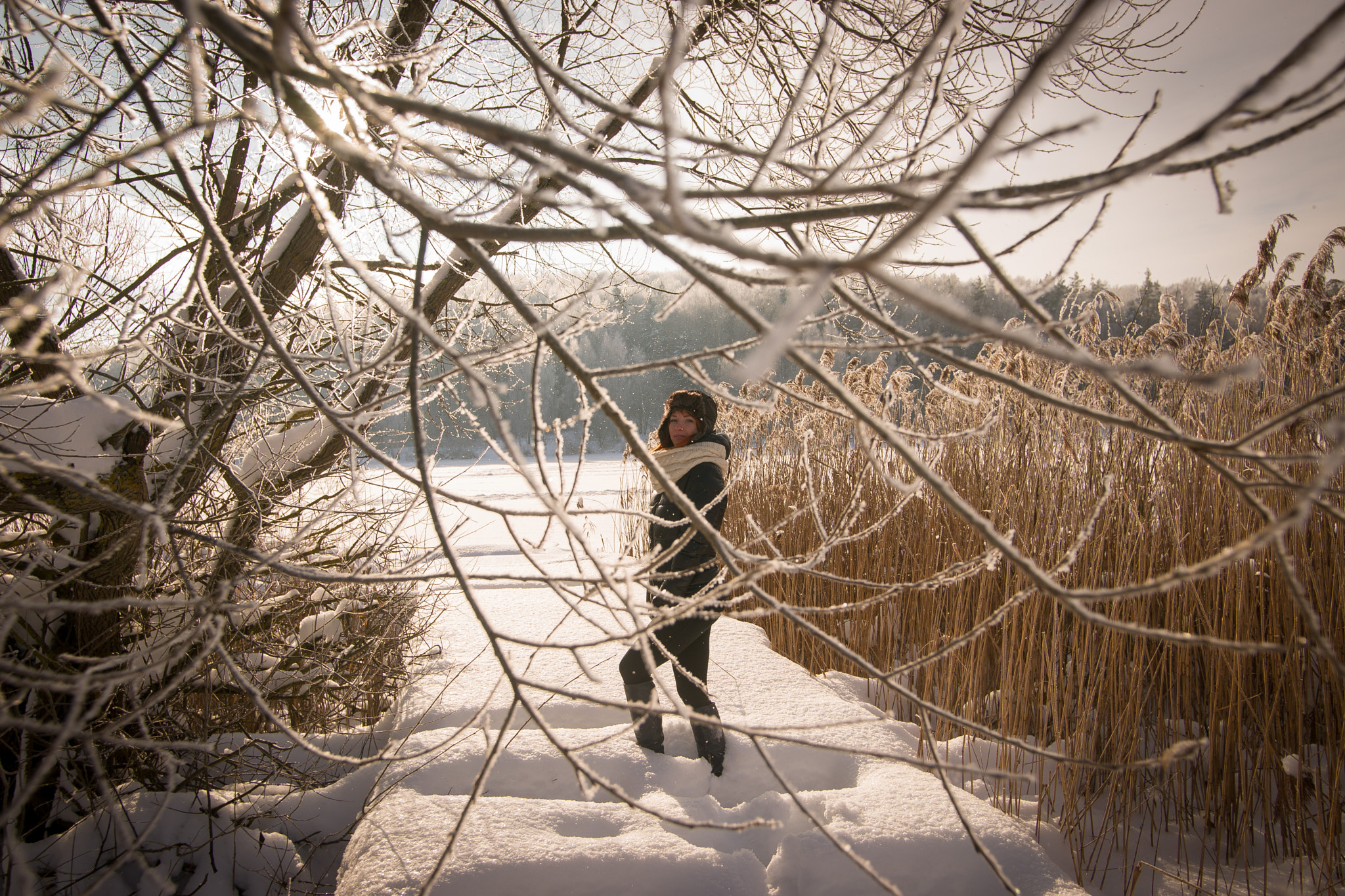 Sony Alpha DSLR-A850 + Minolta AF 17-35mm F2.8-4 (D) sample photo. Winter red fox photography