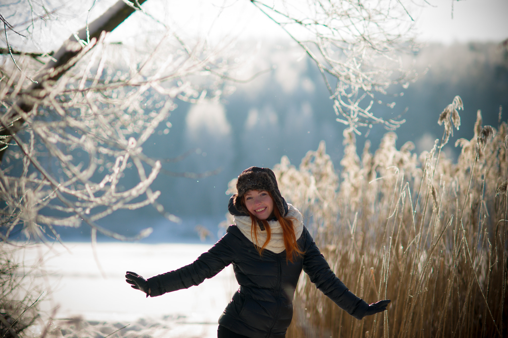 Sony Planar T* 85mm F1.4 ZA sample photo. Winter red fox photography
