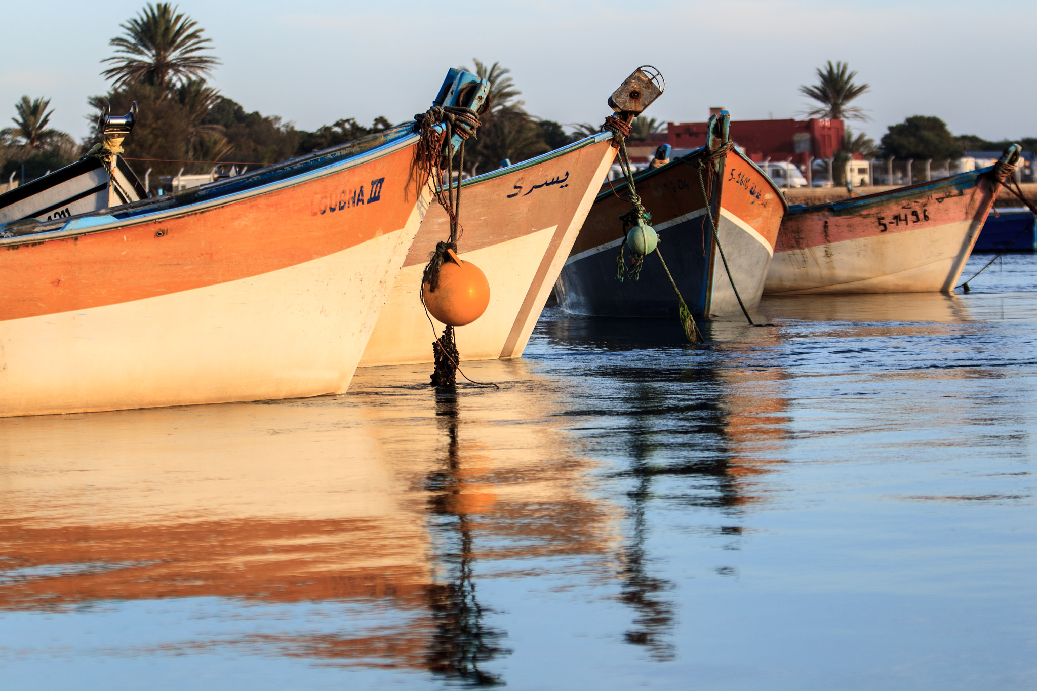 Canon EOS-1D Mark IV sample photo. Reflets de barques photography