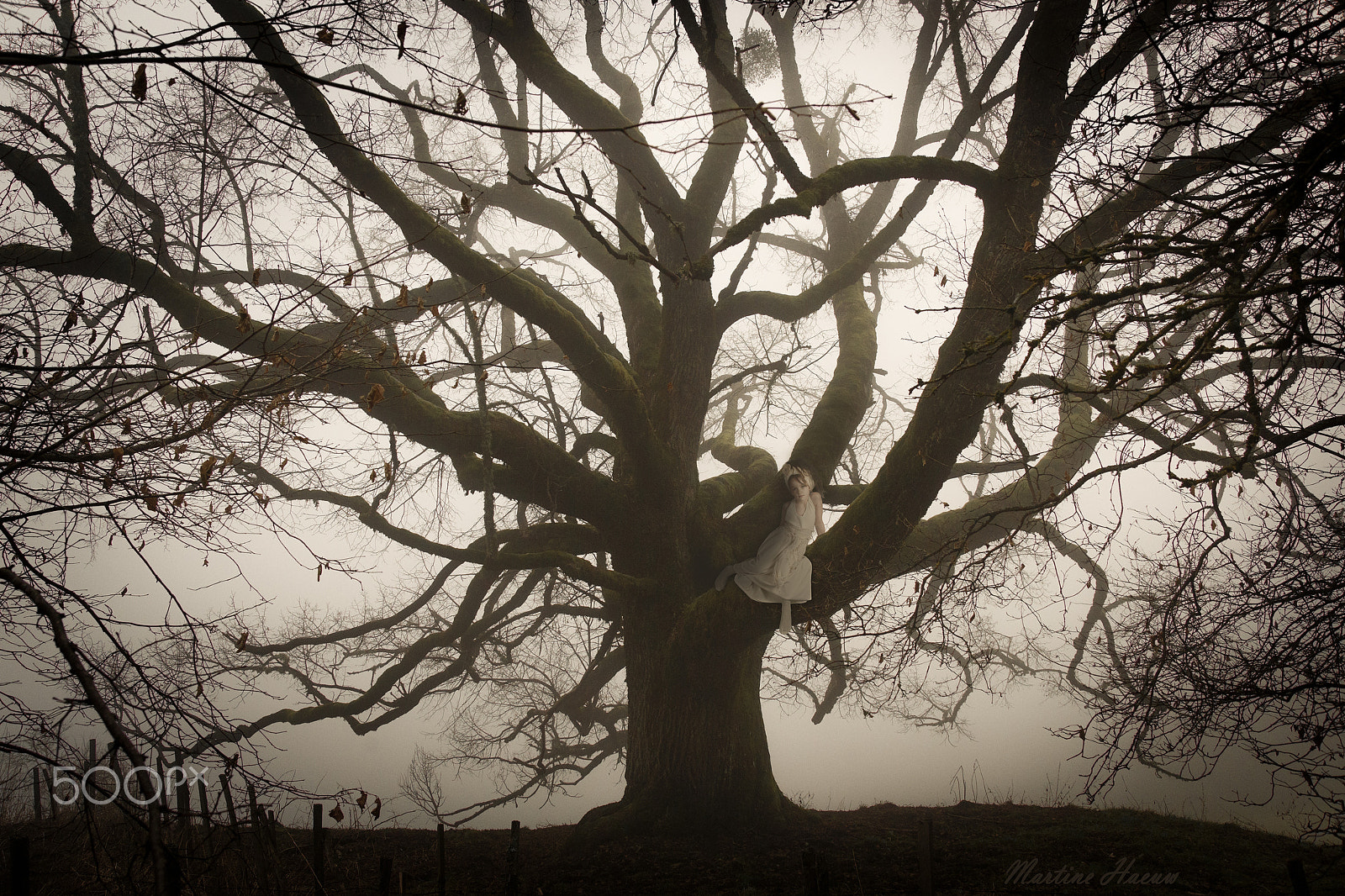 Sony Alpha DSLR-A850 + Minolta AF 28-70mm F2.8 G sample photo. "a lonely heart" - "un coeur solitaire" photography