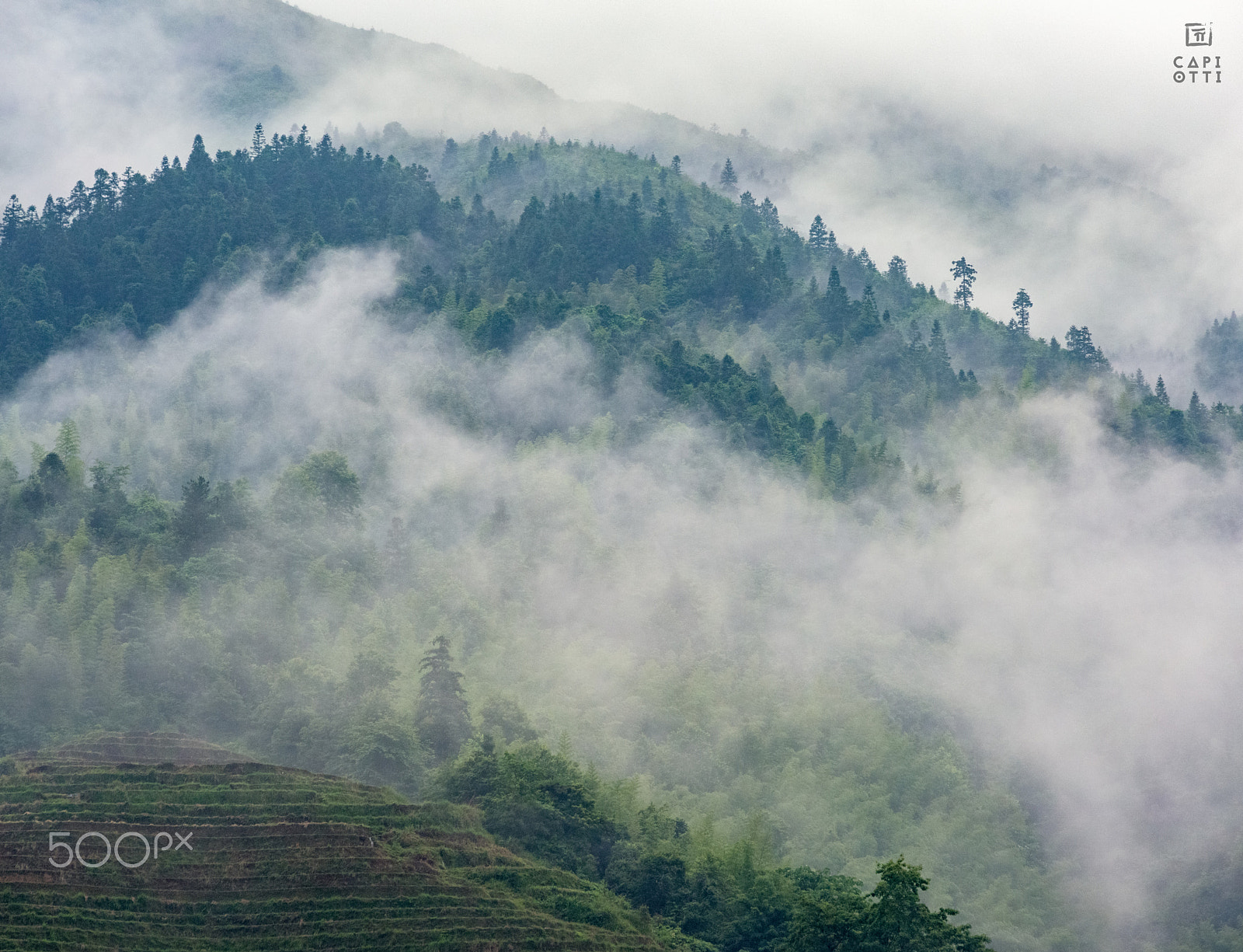 Nikon D810 + AF Nikkor 180mm f/2.8 IF-ED sample photo. Guizhou photography