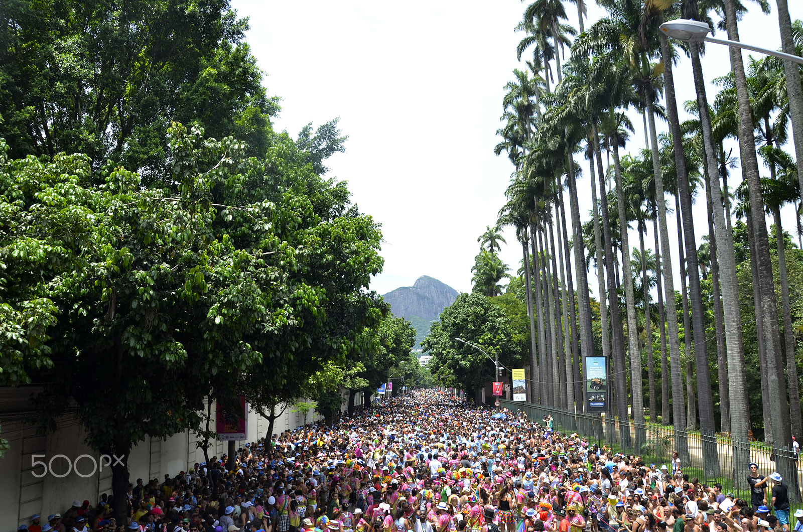 Nikon D7000 + AF Micro-Nikkor 105mm f/2.8 sample photo. Bloco me esquece - jardim botânico - rio de janeiro - photo: alexandre macieira photography