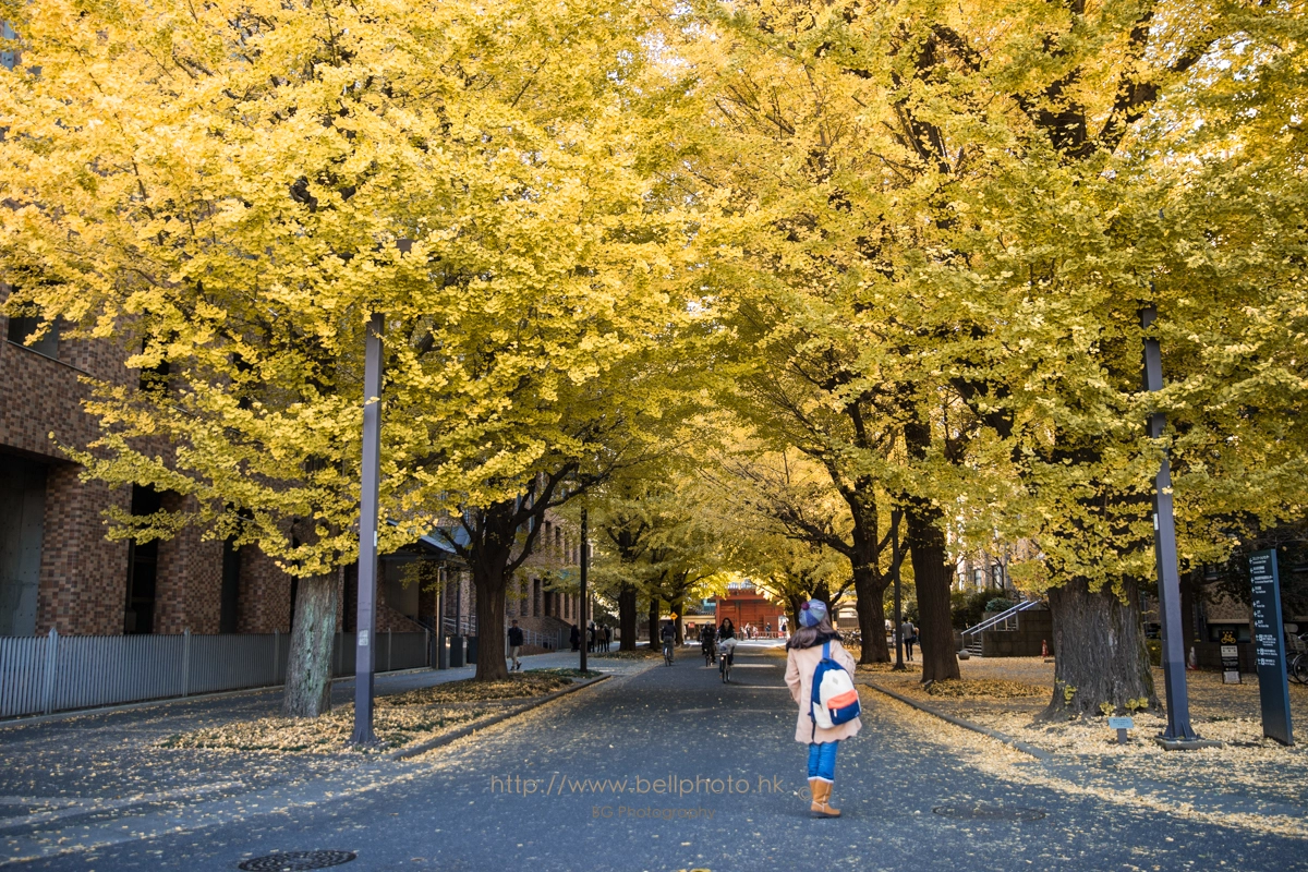 Sony a7 + Canon EF 85mm F1.2L II USM sample photo. 東京大学. photography